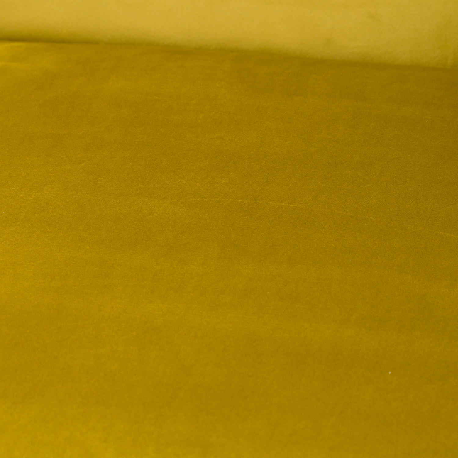 Eva Framed Mustard Velvet Club Chair - Image 2