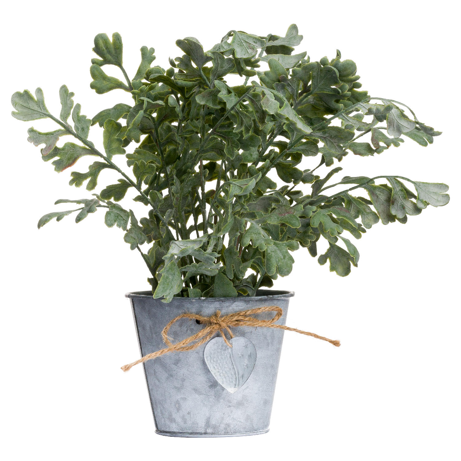 Herbs In Tin Pot - Image 1