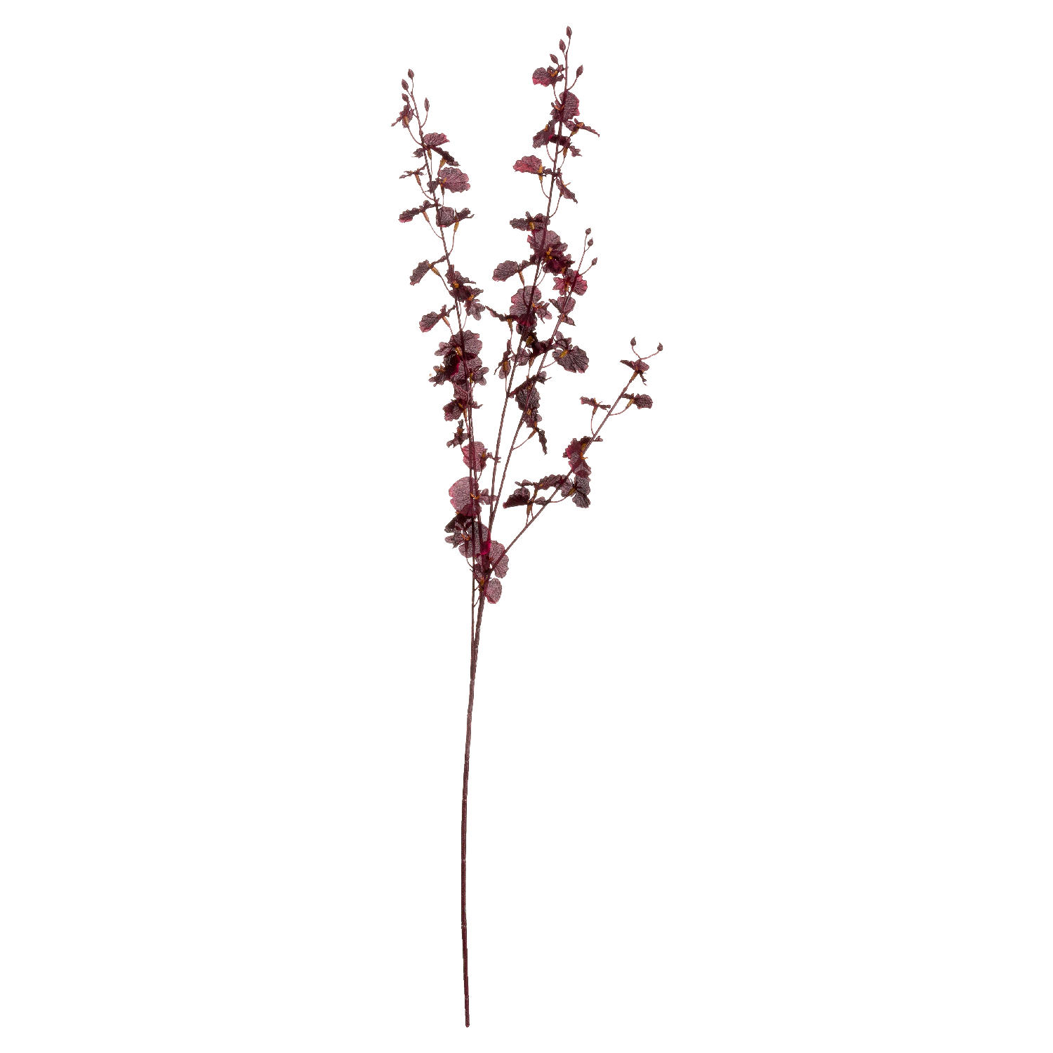 Deep Burgundy Orchid Spray - Image 2