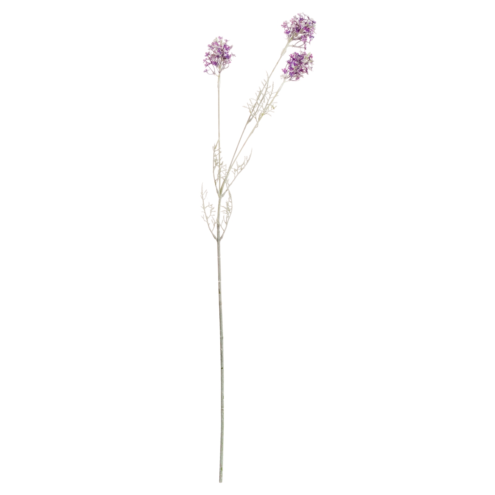 Purple Meadow Flower - Image 4