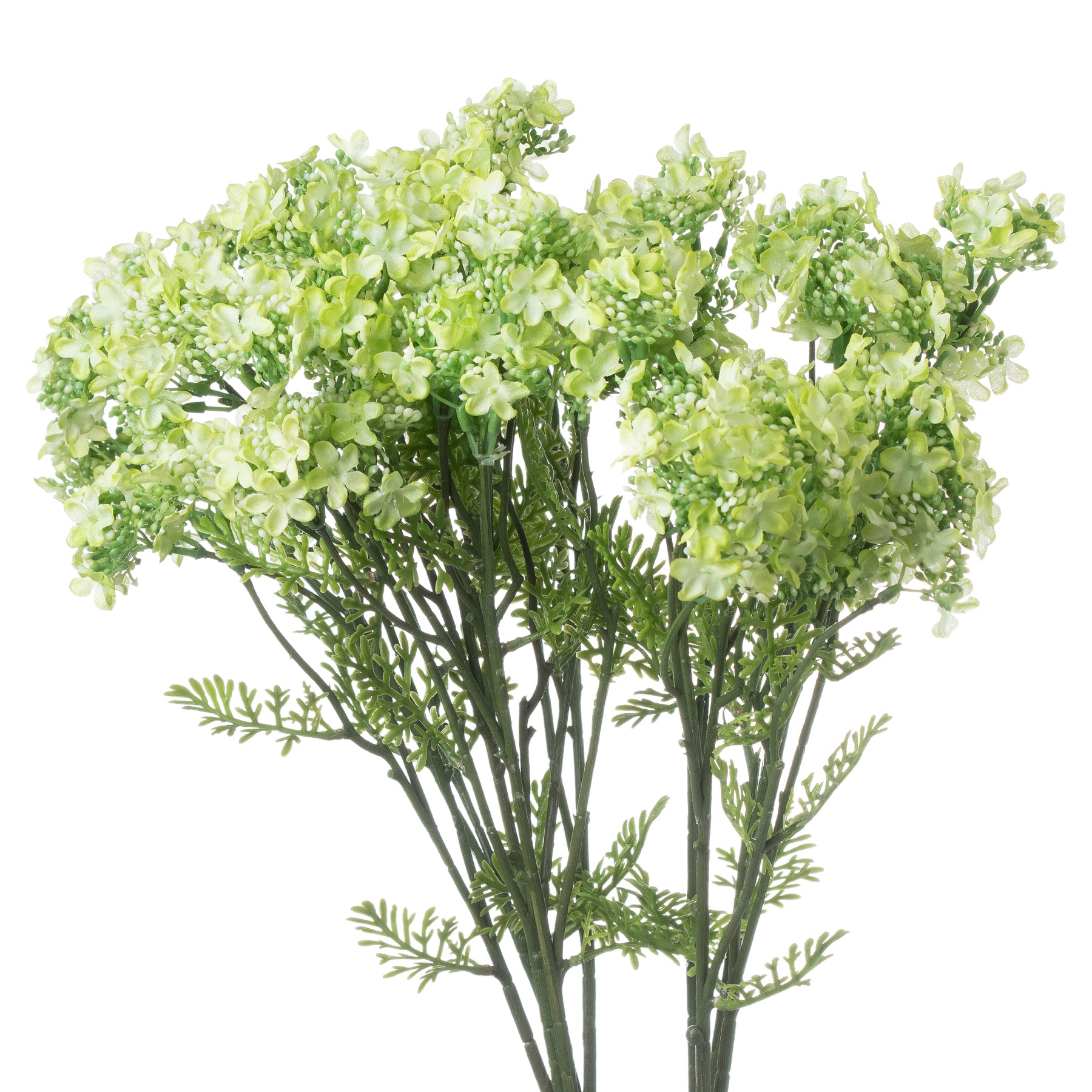 Green Plumb Blossom Spray - Image 1