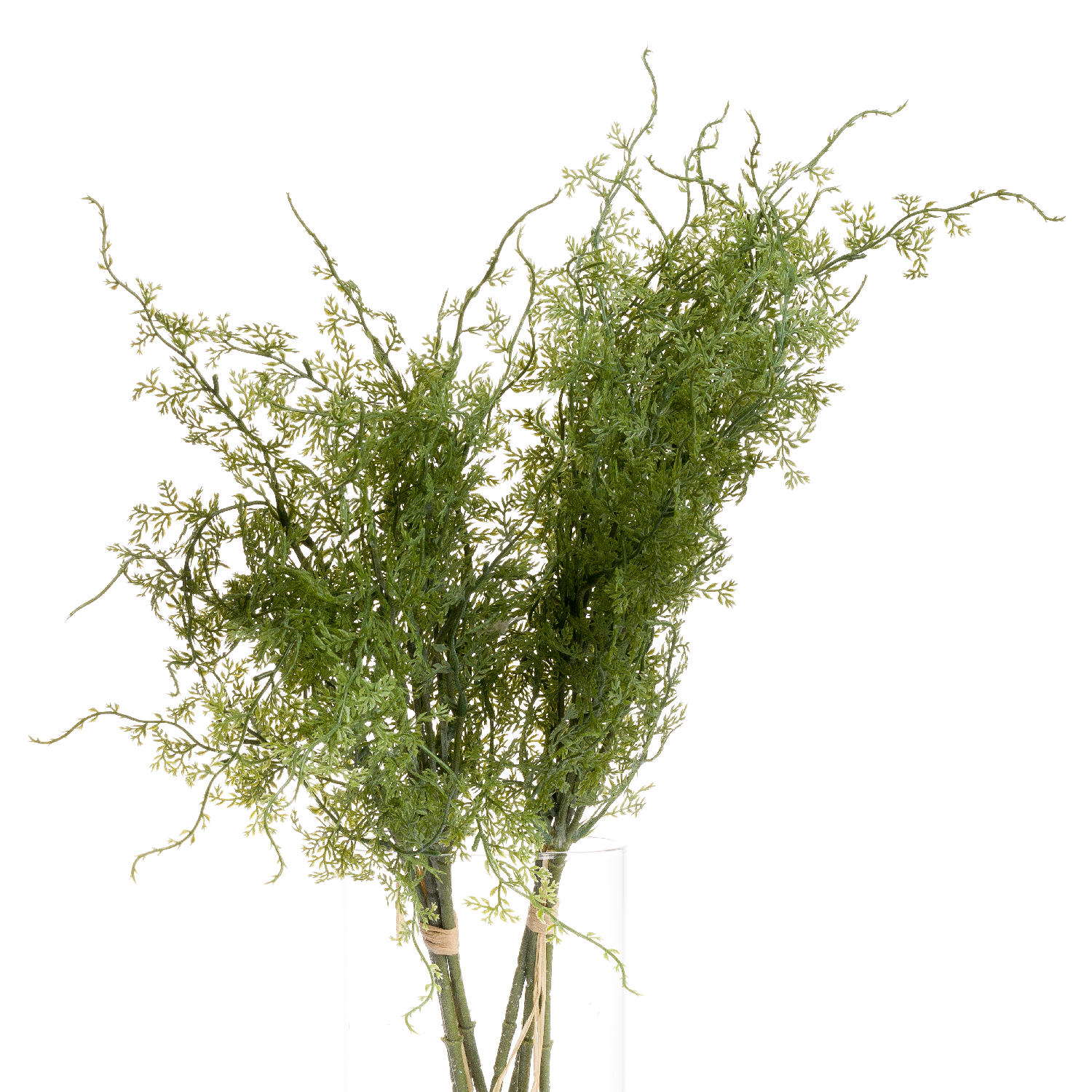 Asparagus Fern Bunch - Image 2