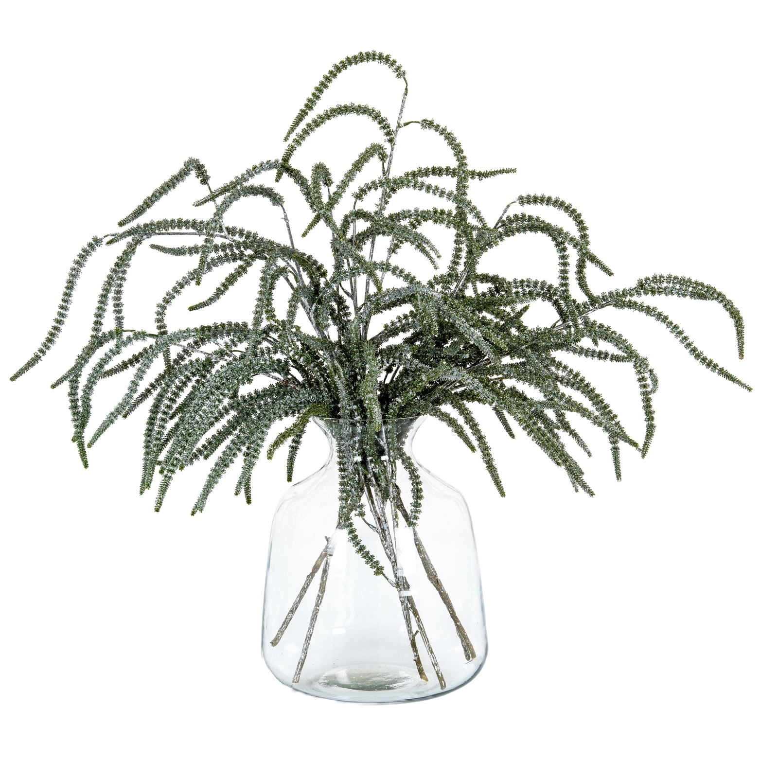 Festive Amaranthus - Image 4