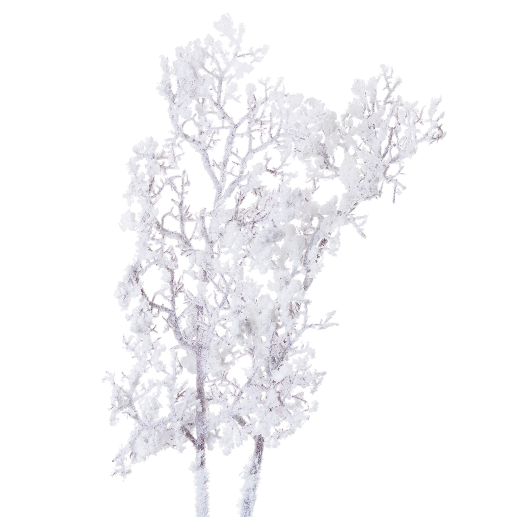 Snowy Branch - Image 2