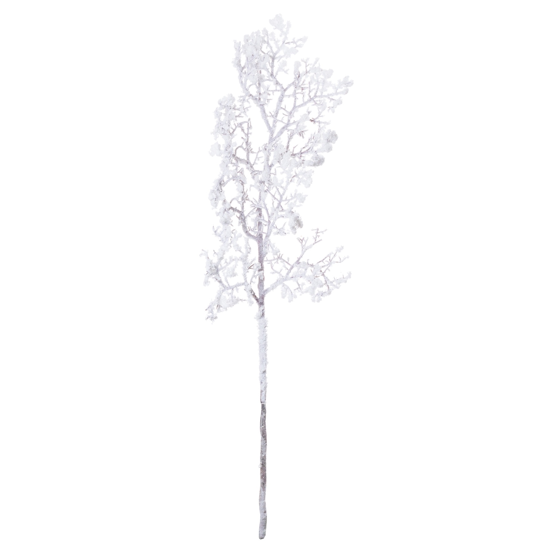 Snowy Branch - Image 3