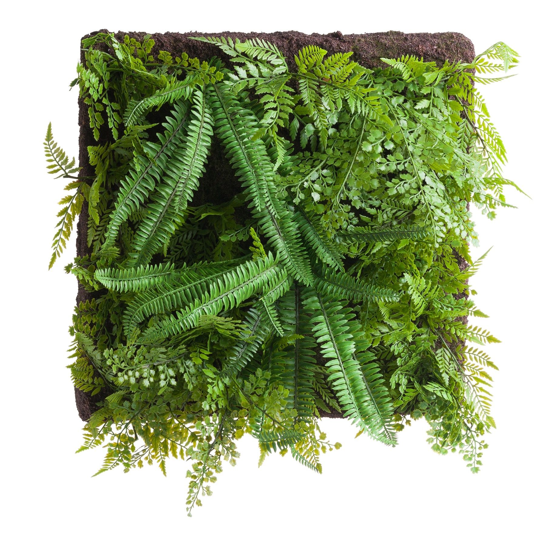 Fern And Greenery Wall Panel Wholesale by Hill Interiors