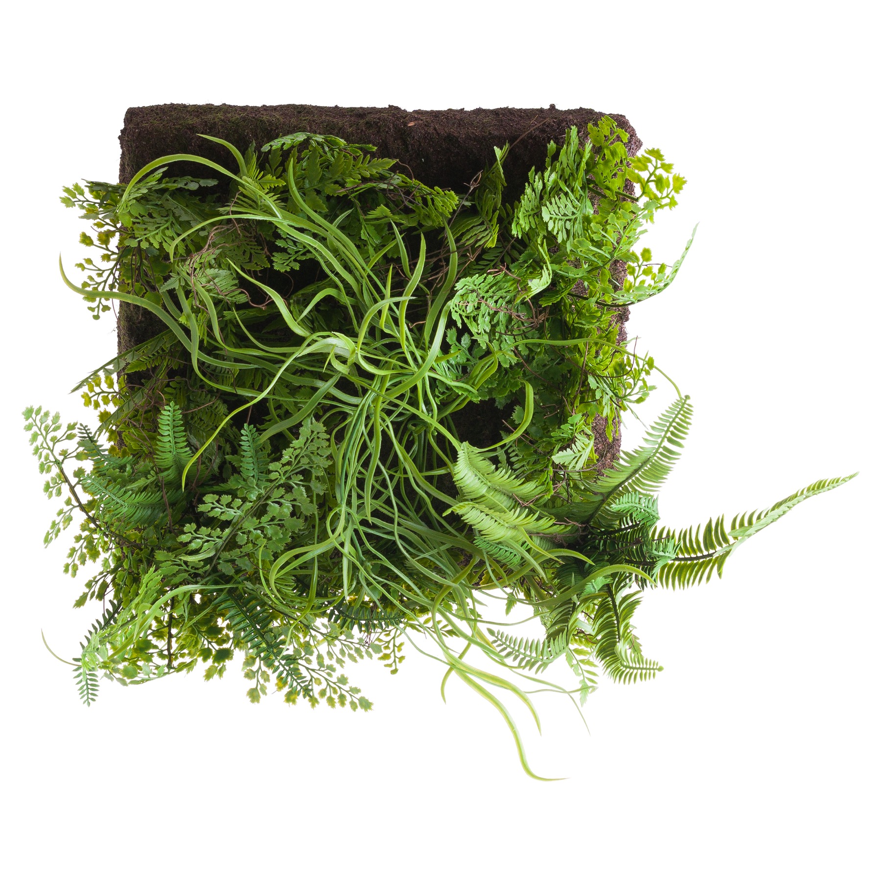 Fern And Grasses Wall Panel - Image 1