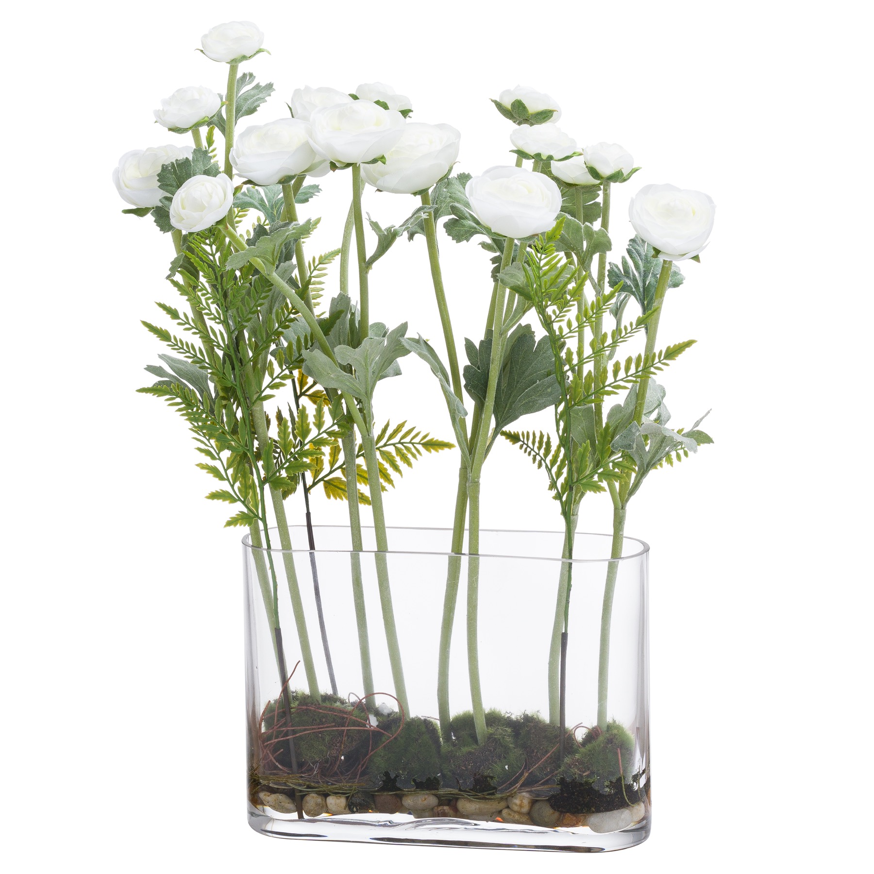 planting ranunculus in pots