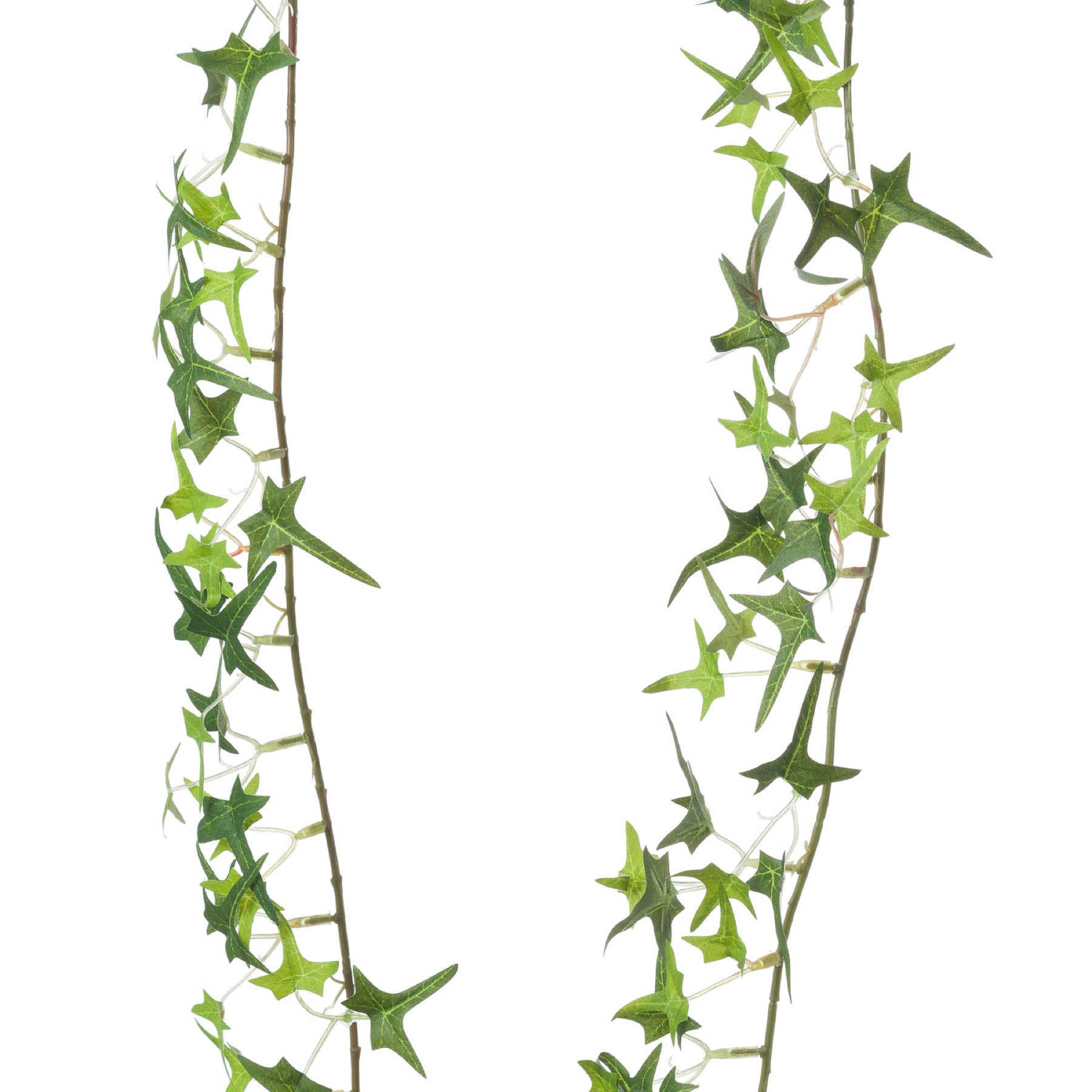 Small Ivy Garland - Image 2