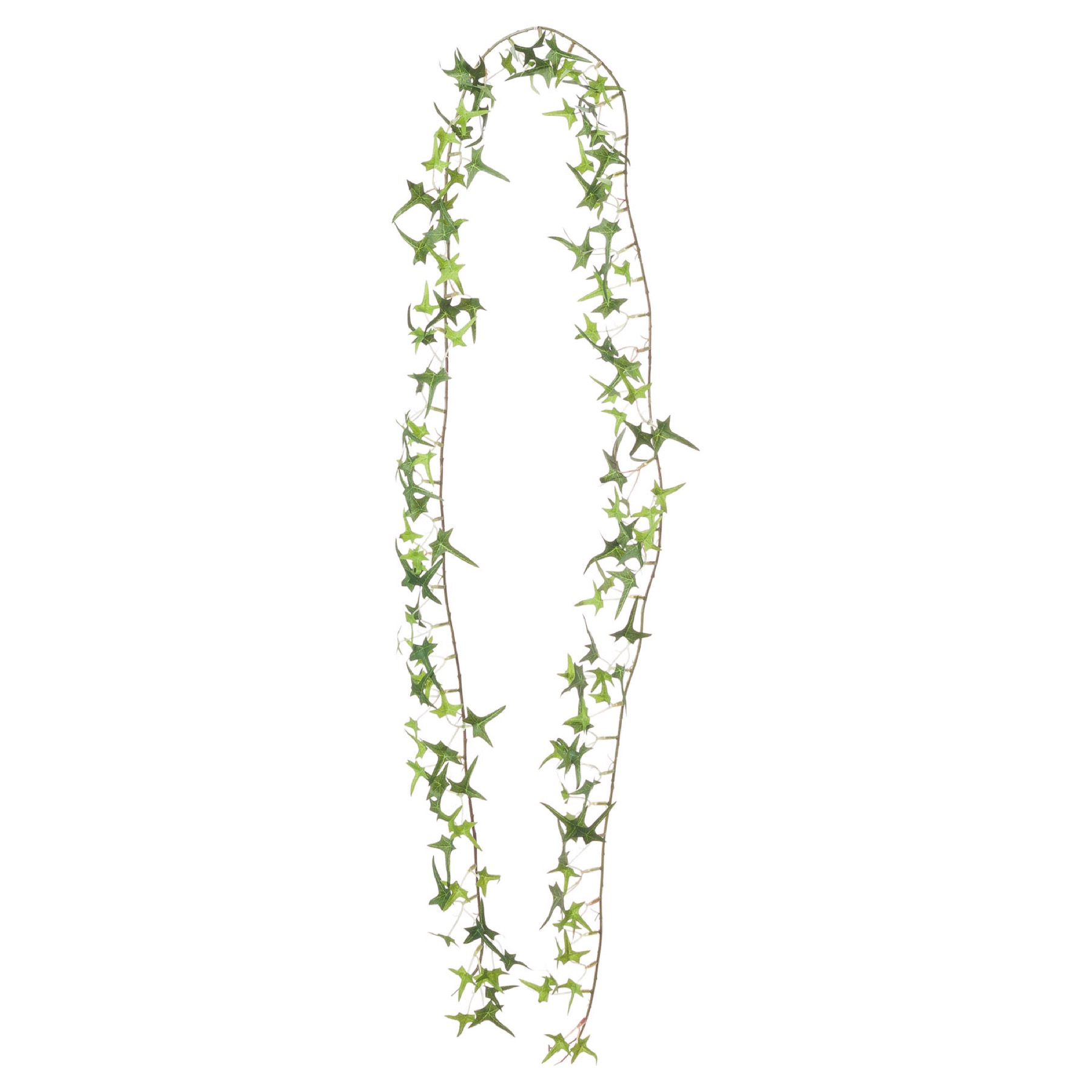 Small Ivy Garland - Image 1