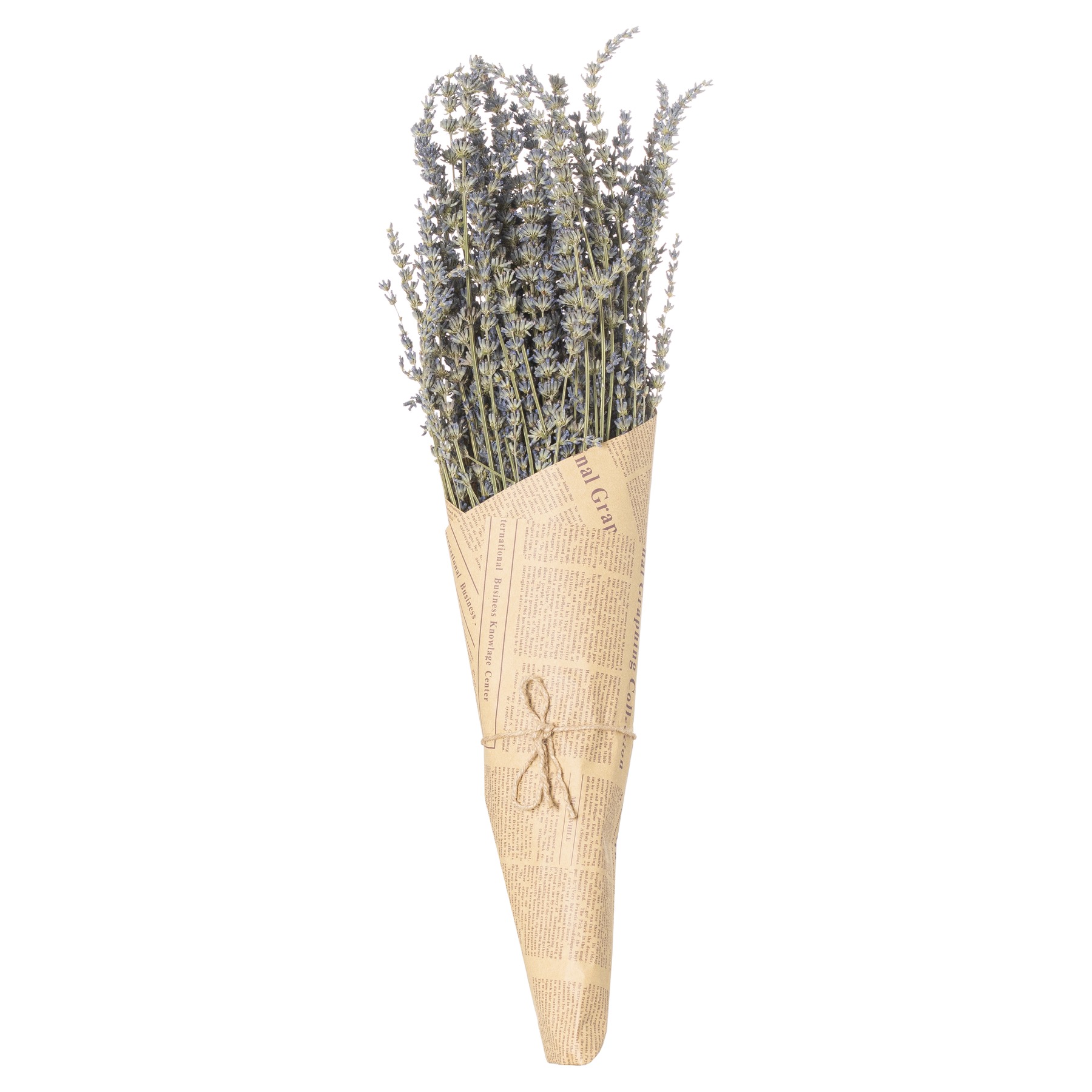 Dried lavender Bunch - Image 1