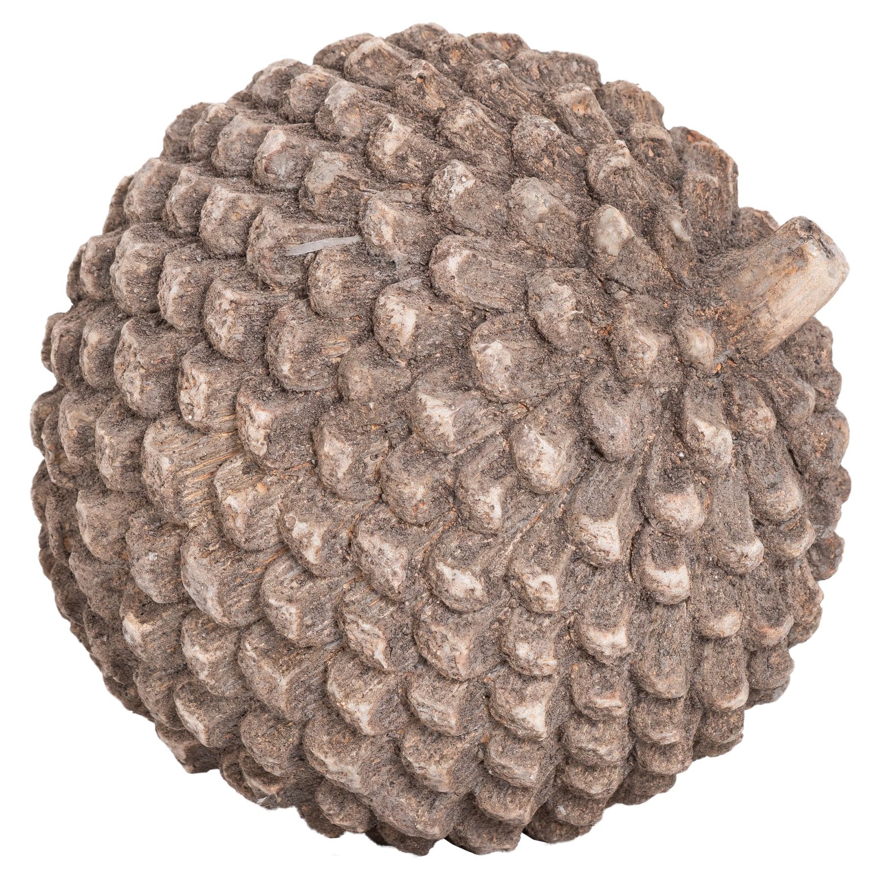 Large Stone Pinecone - Image 1