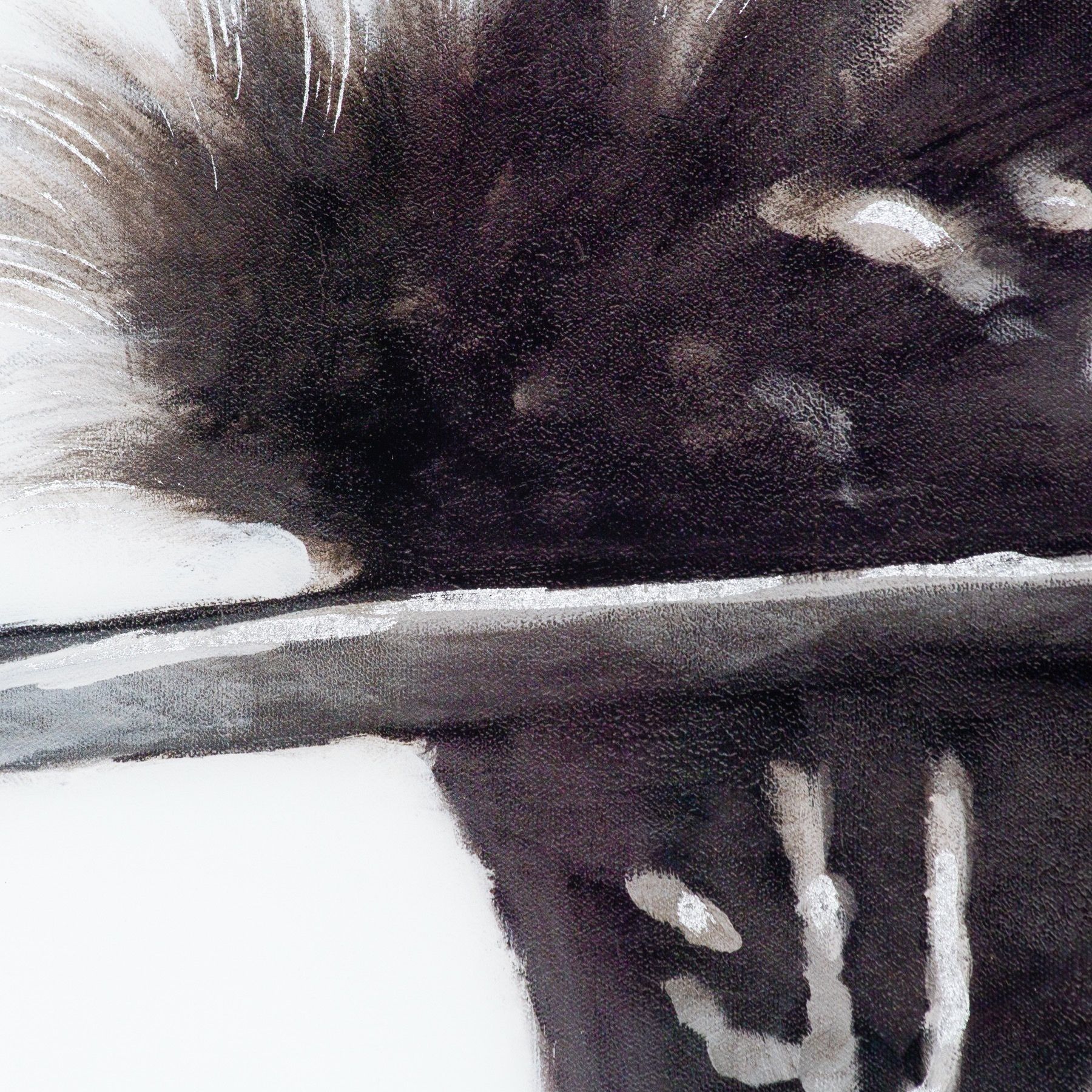 Black Feather With White Spots Over 3 Black Glass Frames - Image 6