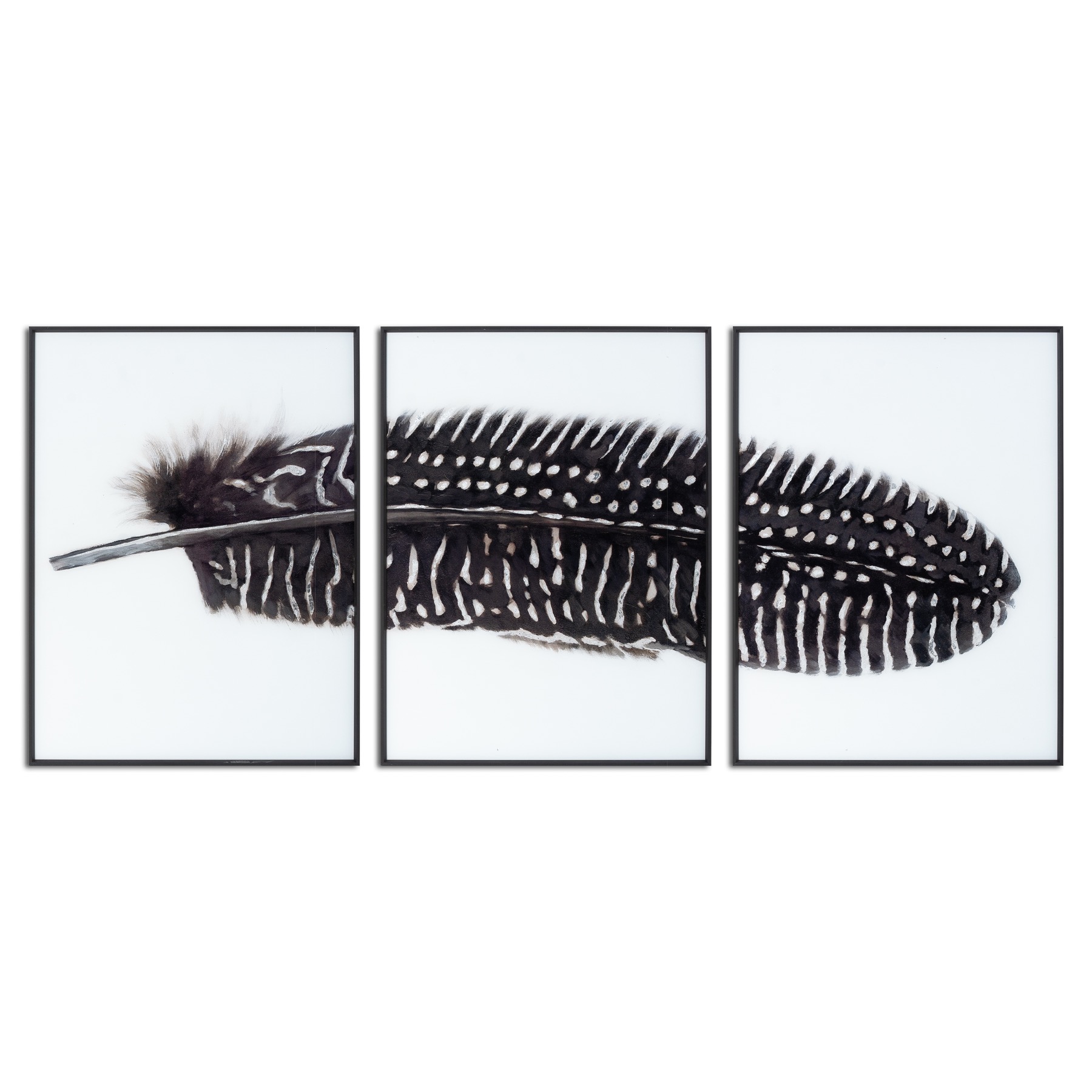 Black Feather With White Spots Over 3 Black Glass Frames - Image 1