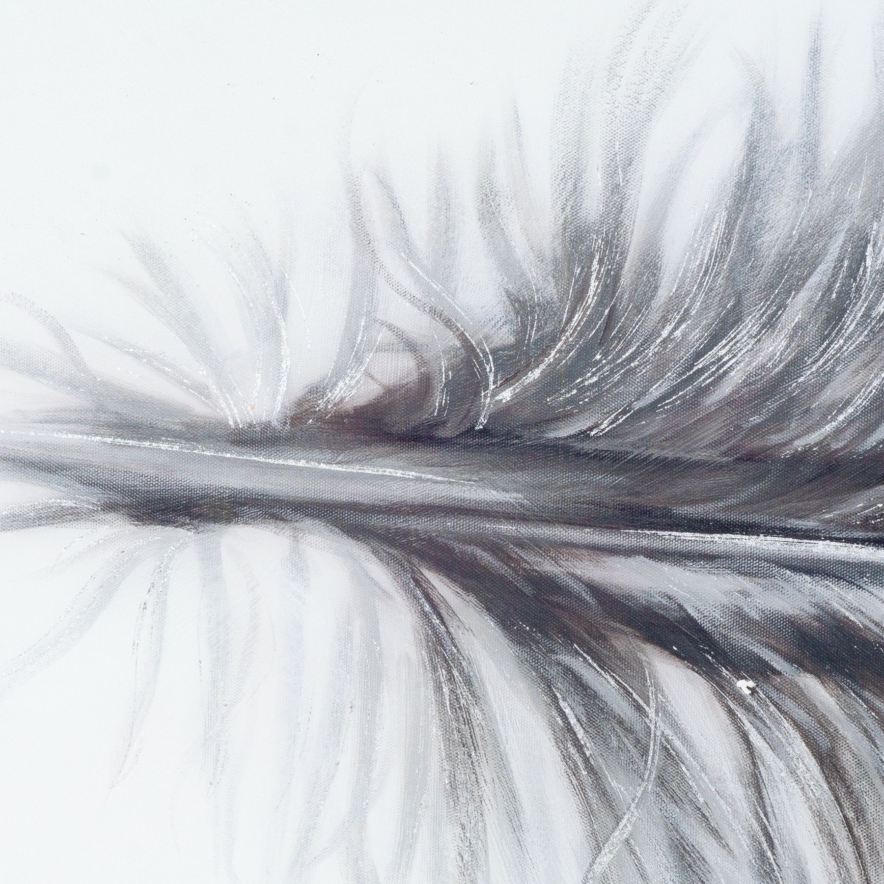 Black Striped Feather Over 3 Black Glass Frames - Image 6