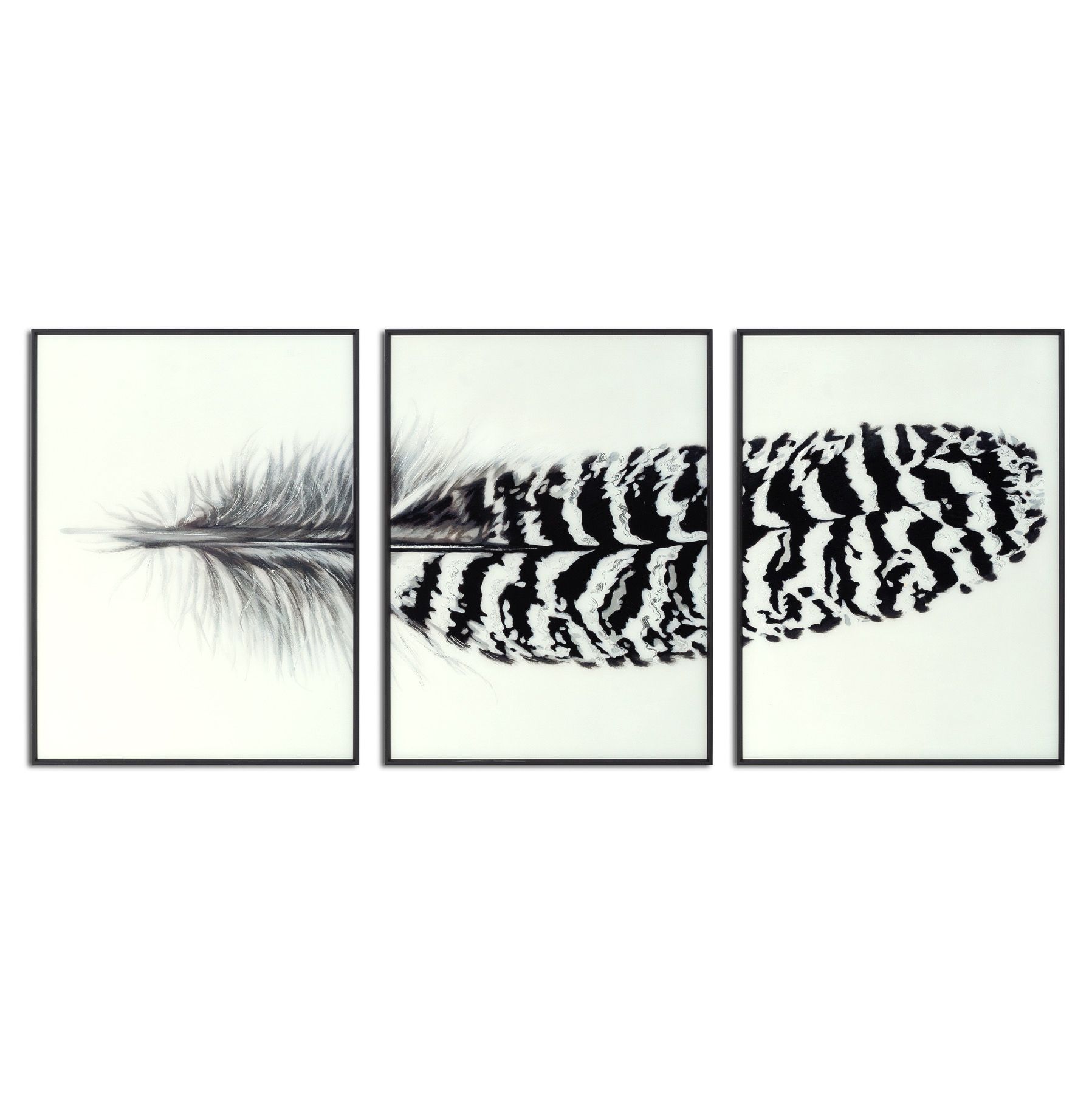 Black Striped Feather Over 3 Black Glass Frames - Image 1