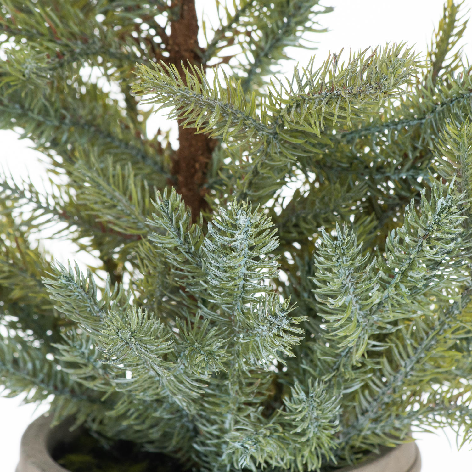 Garda Pine Tree In Stone Pot - Image 2