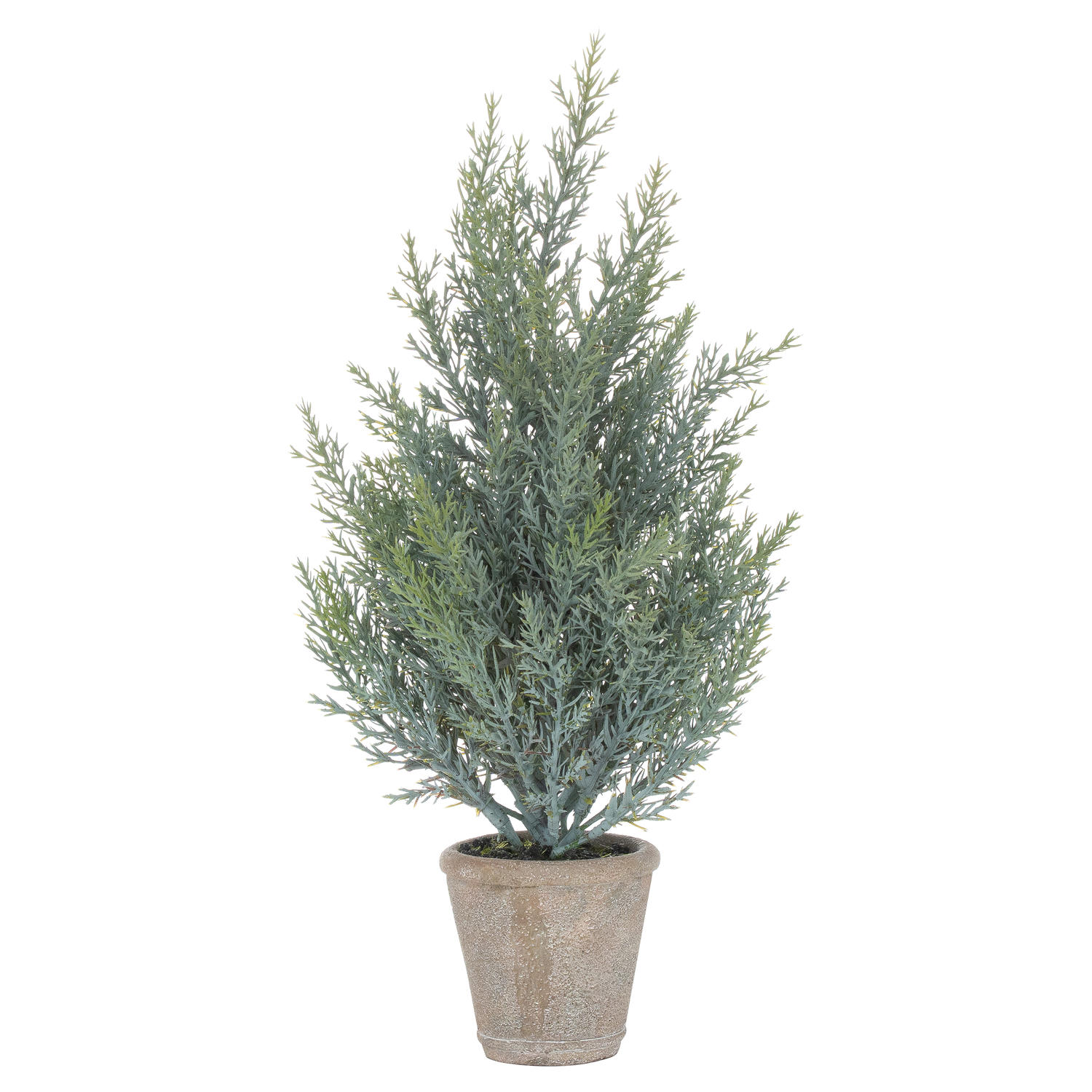 Squat Christmas Fir Tree In Stone Pot - Image 1
