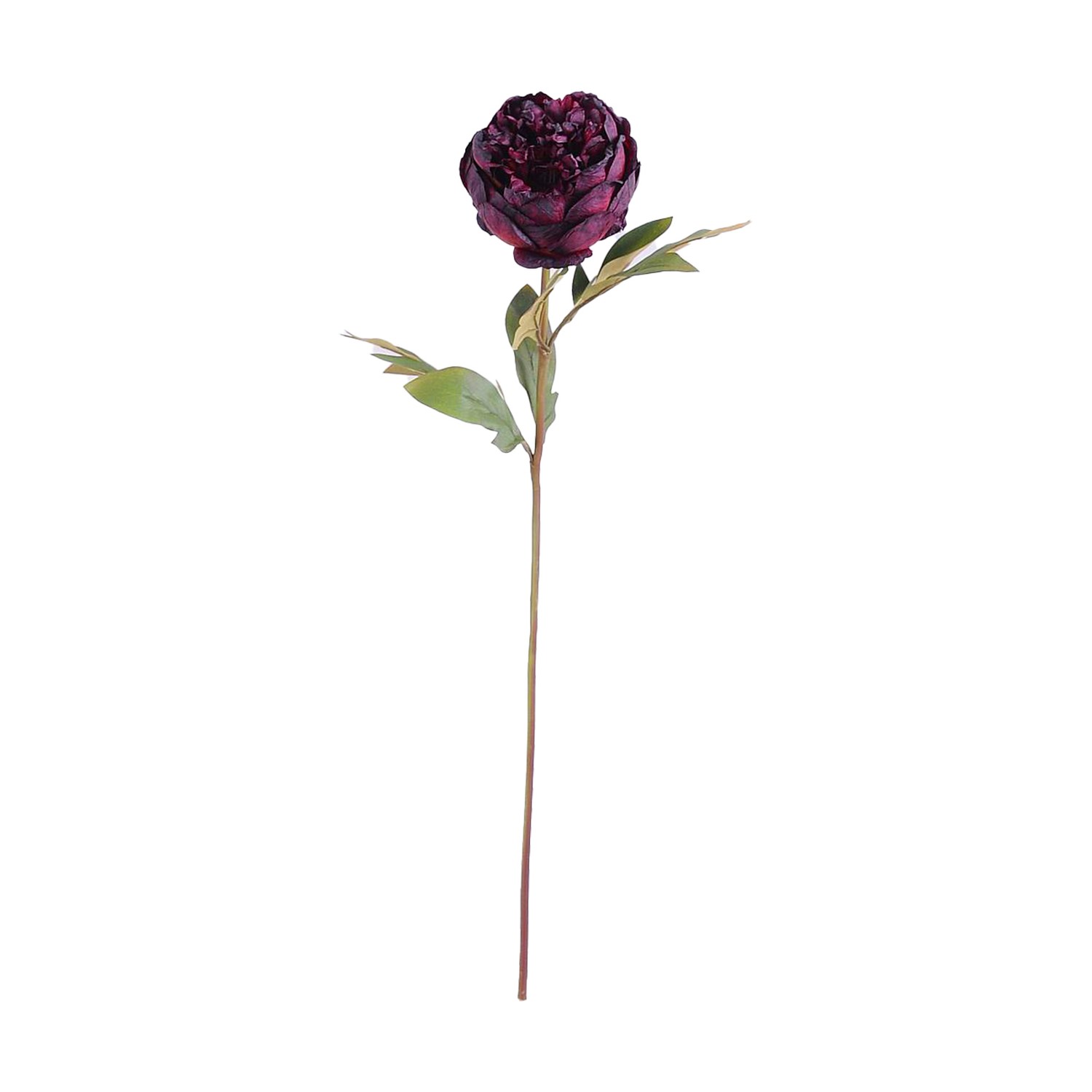 Mixed Purple Peony Rose - Image 1