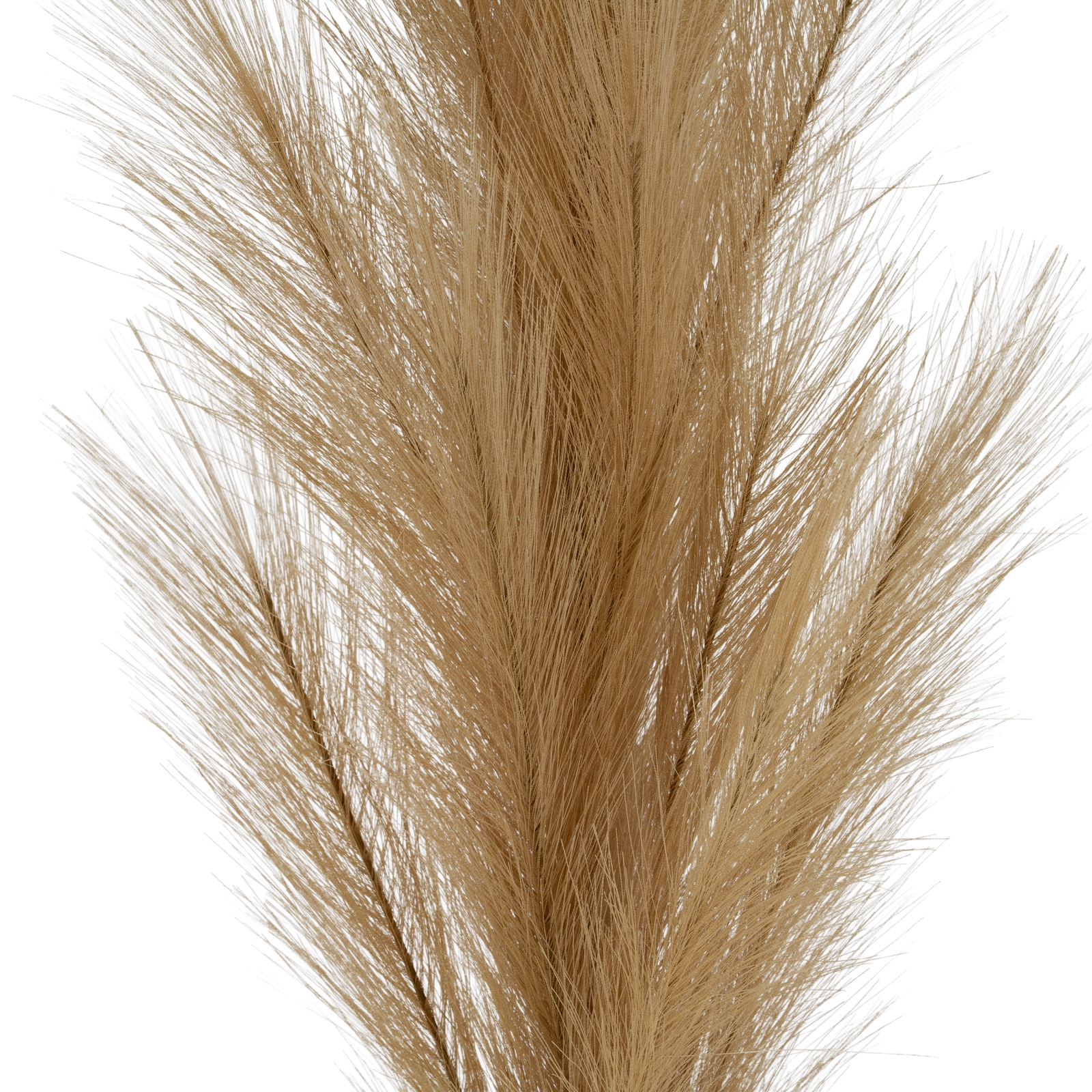 Large Faux Pampas Grass Stem - Image 2