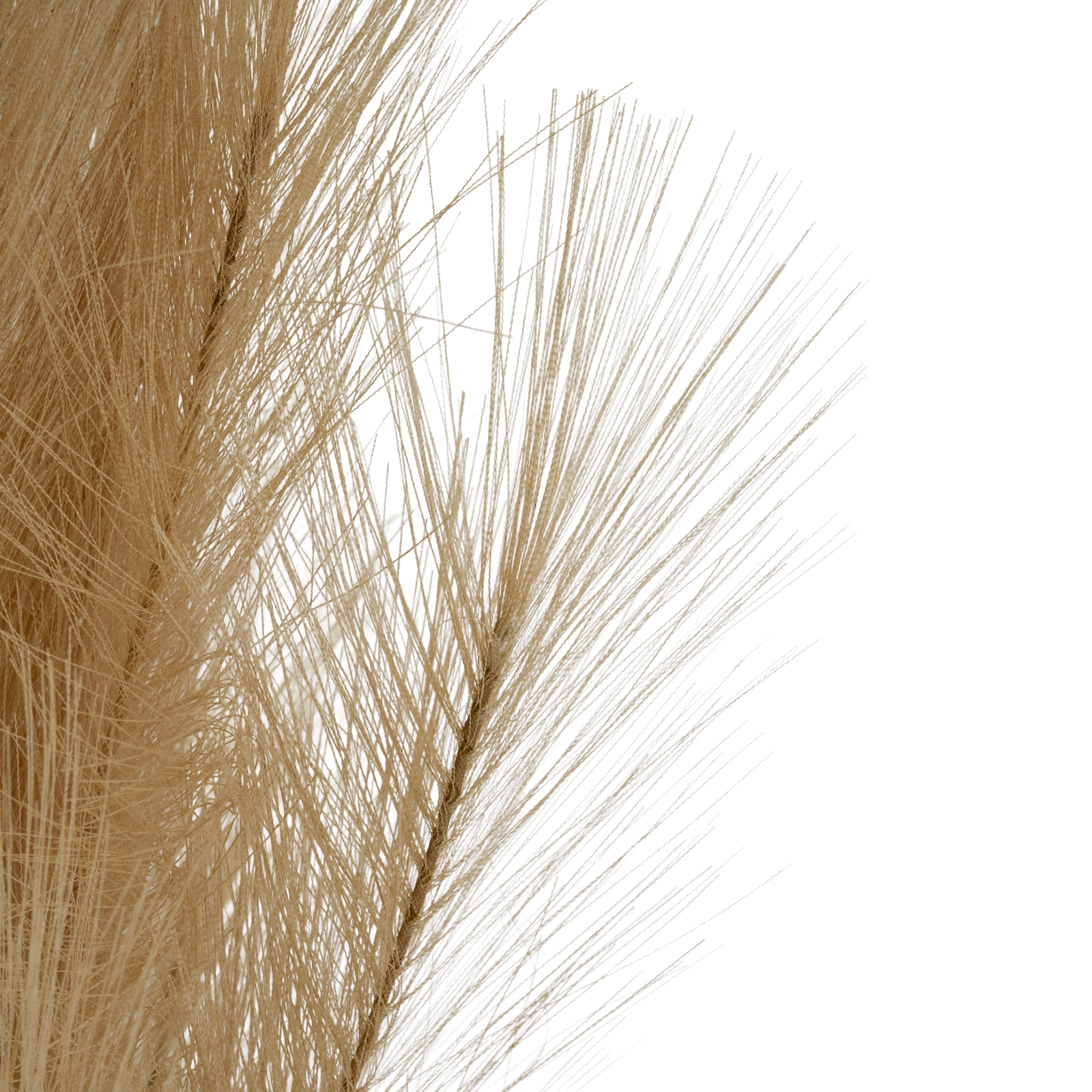 Large Faux Pampas Grass Stem - Image 3