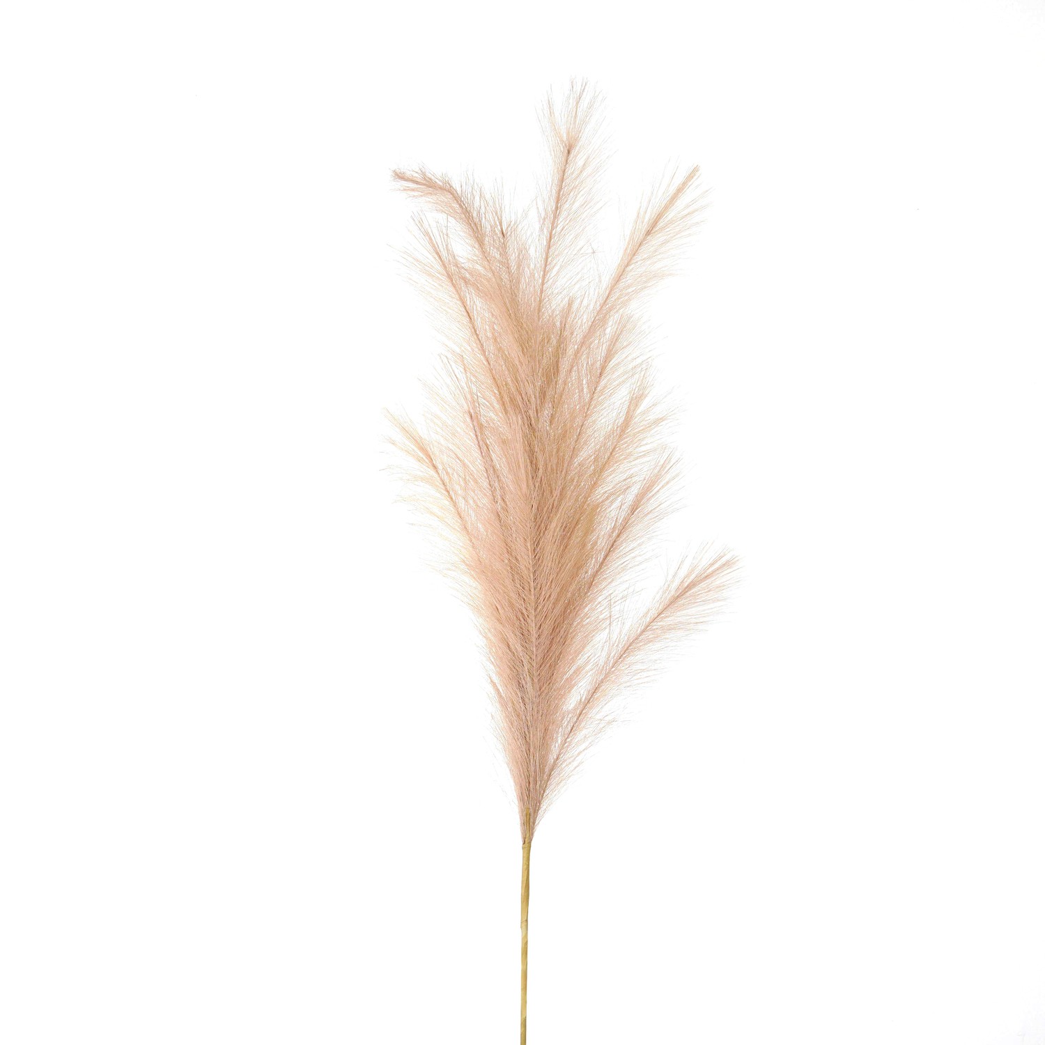 Large Faux Pampas Grass Stem - Image 1