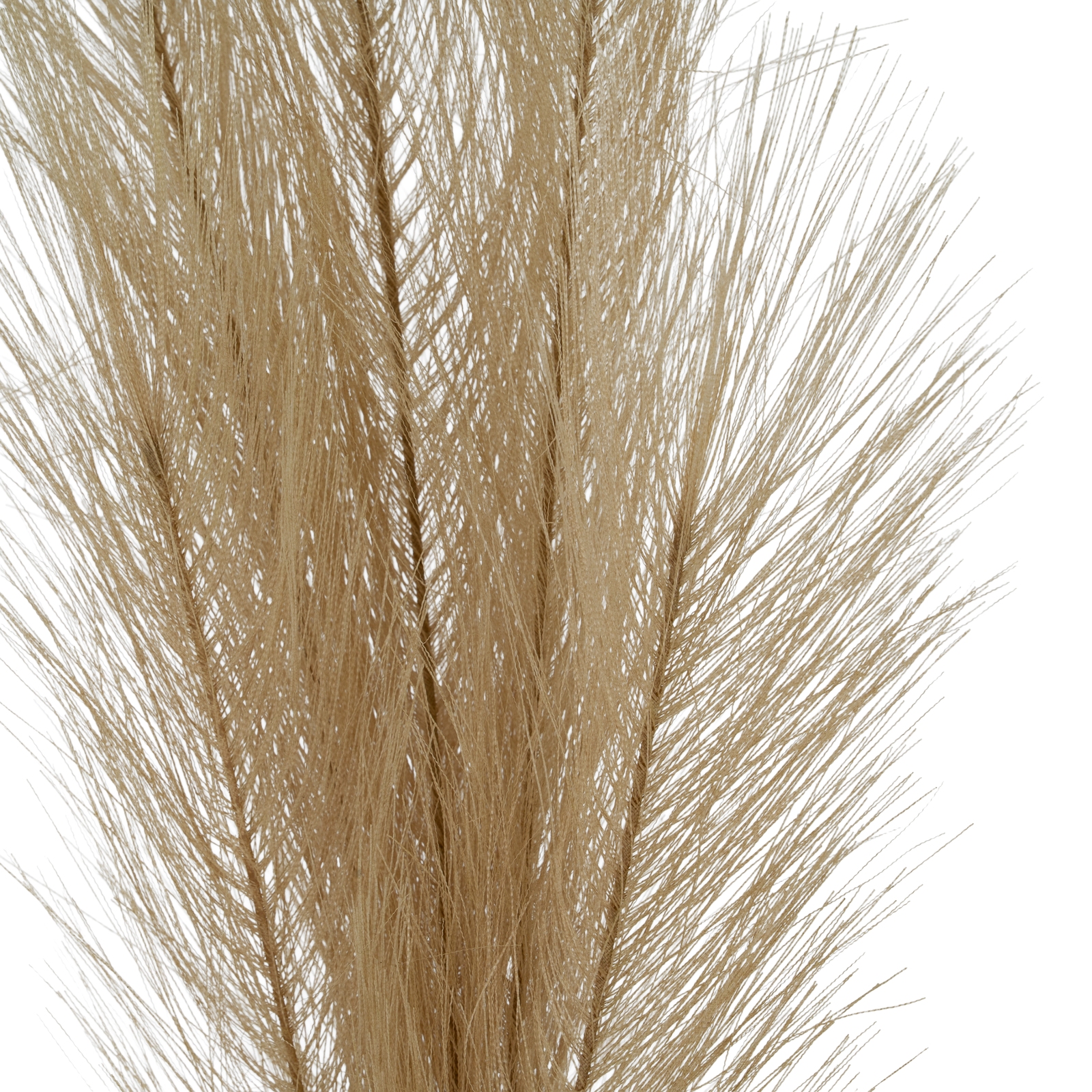 Faux Pampas Grass Stem - Image 3