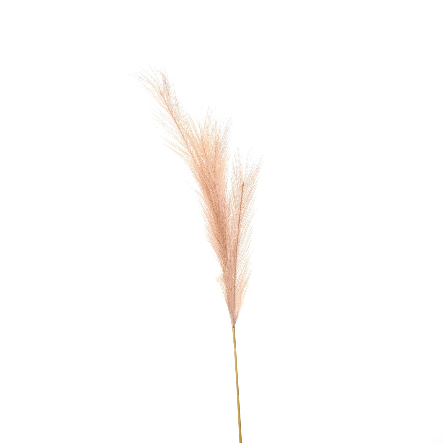Faux Pampas Grass Stem - Image 1