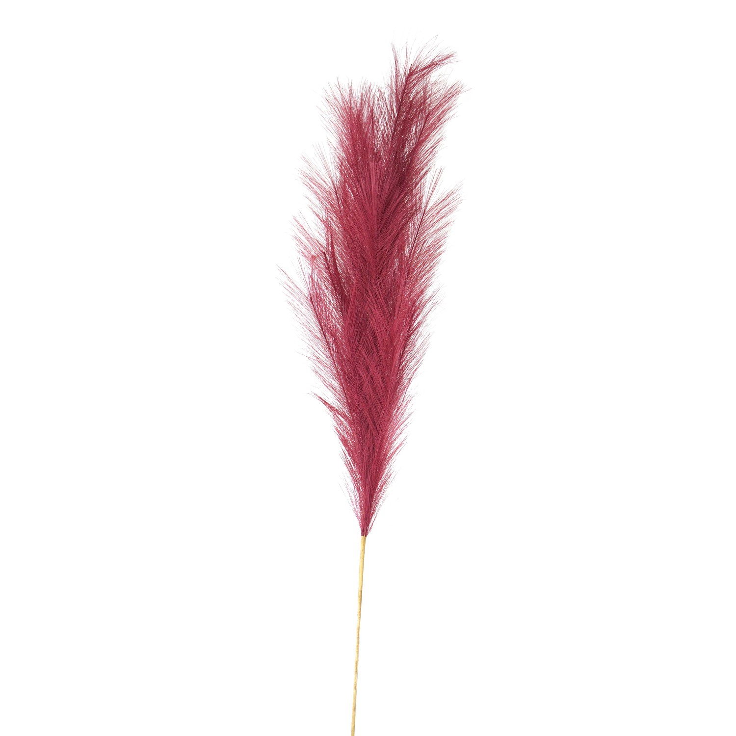 Scarlet Large Faux Pampas Grass Stem - Image 1