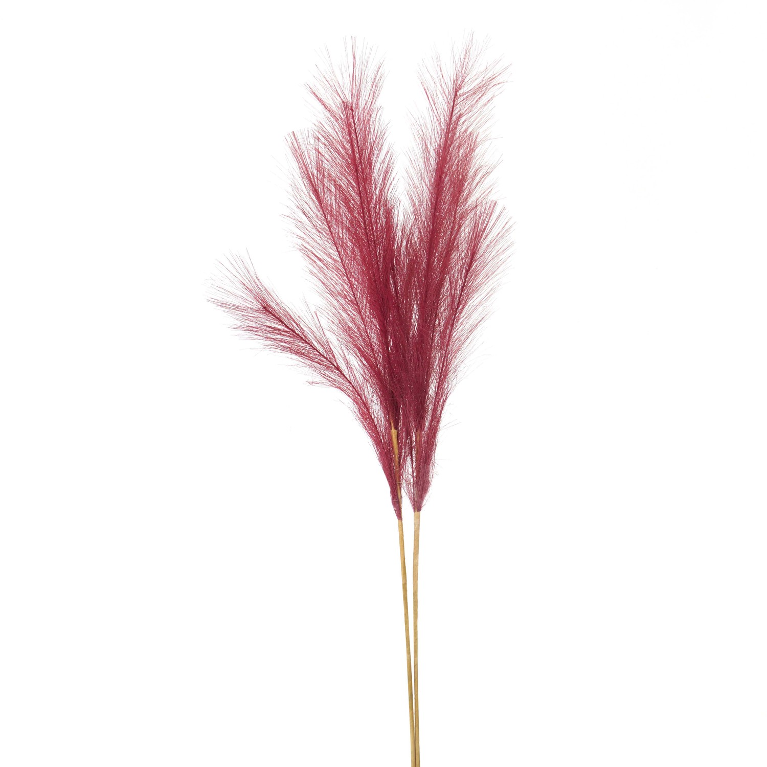 Scarlet Faux Pampas Grass Stem - Image 1
