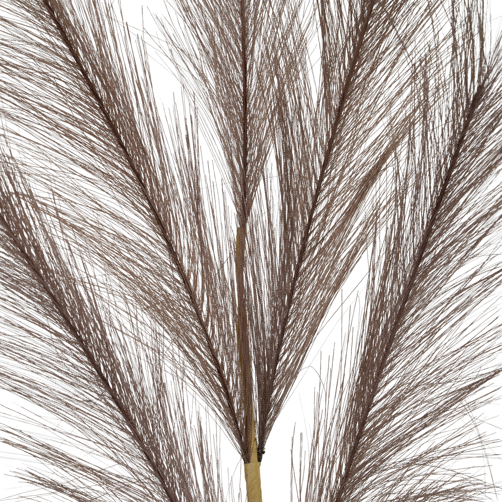 Grey Large Faux Pampas Grass Stem - Image 3