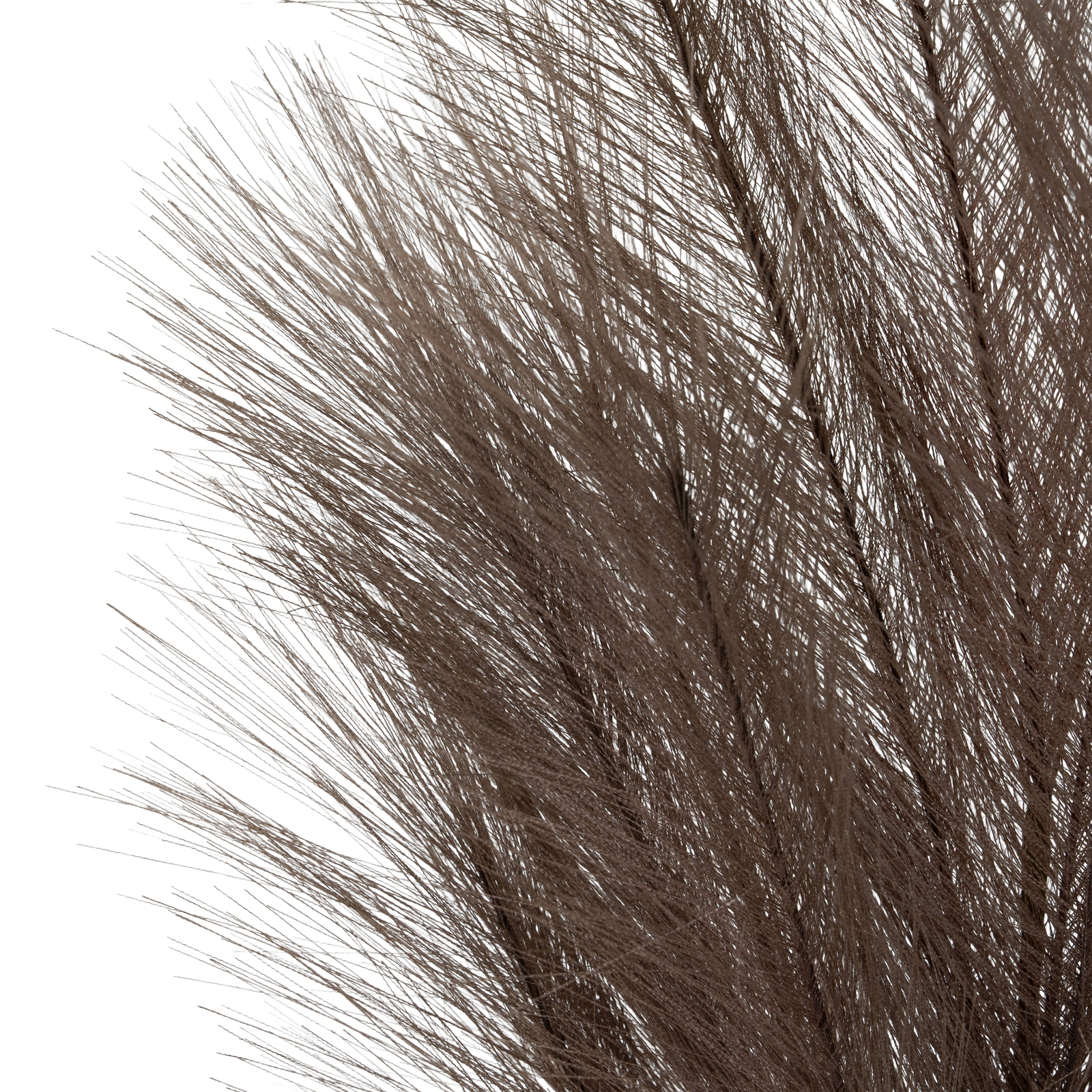 Grey Faux Pampas Grass Stem - Image 3