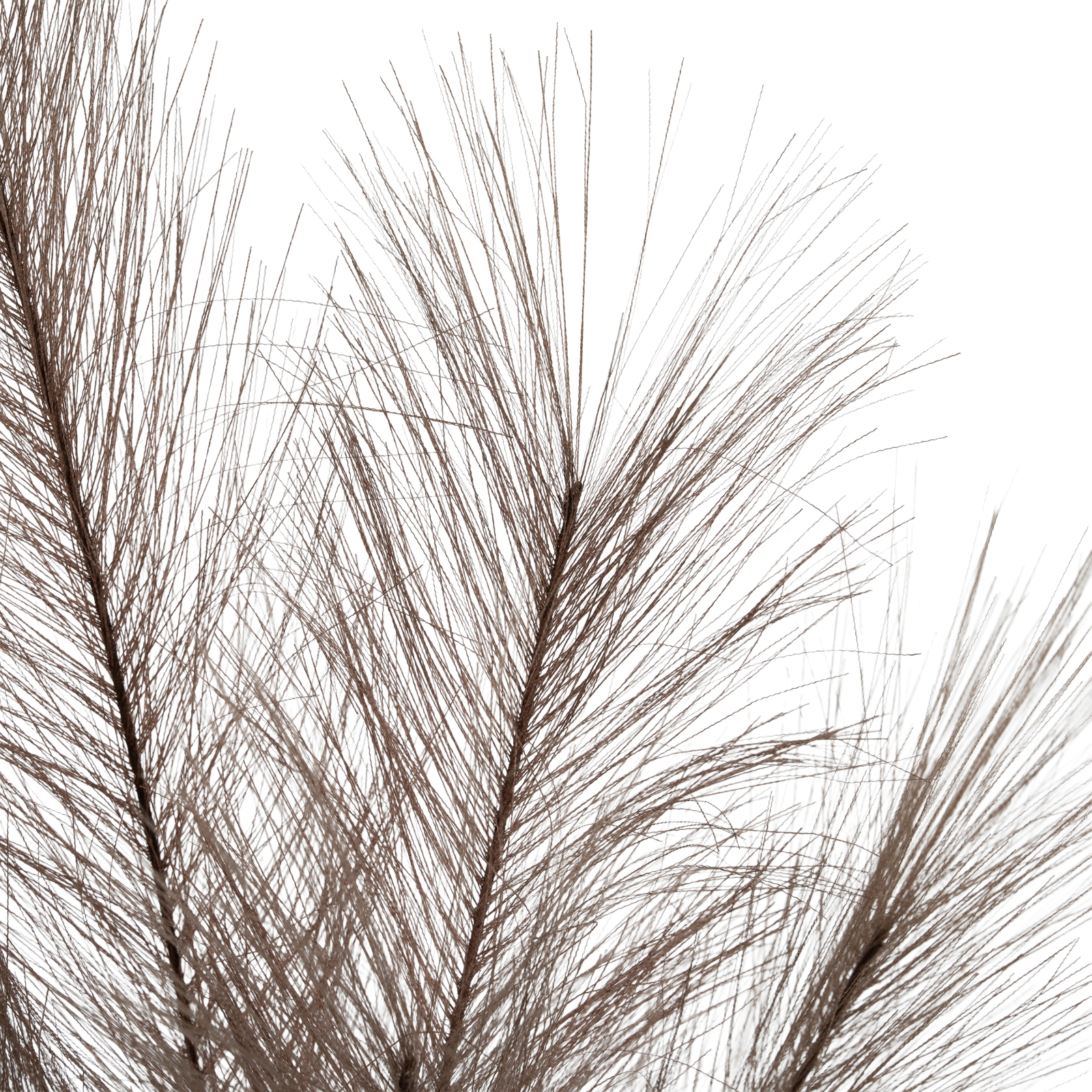 Grey Faux Pampas Grass Stem - Image 4
