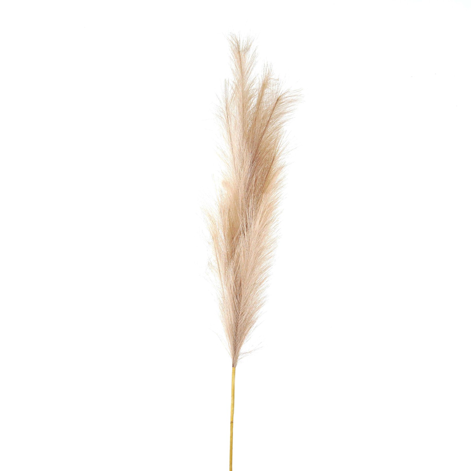 Bleached  Large Faux Pampas Grass Stem - Image 1