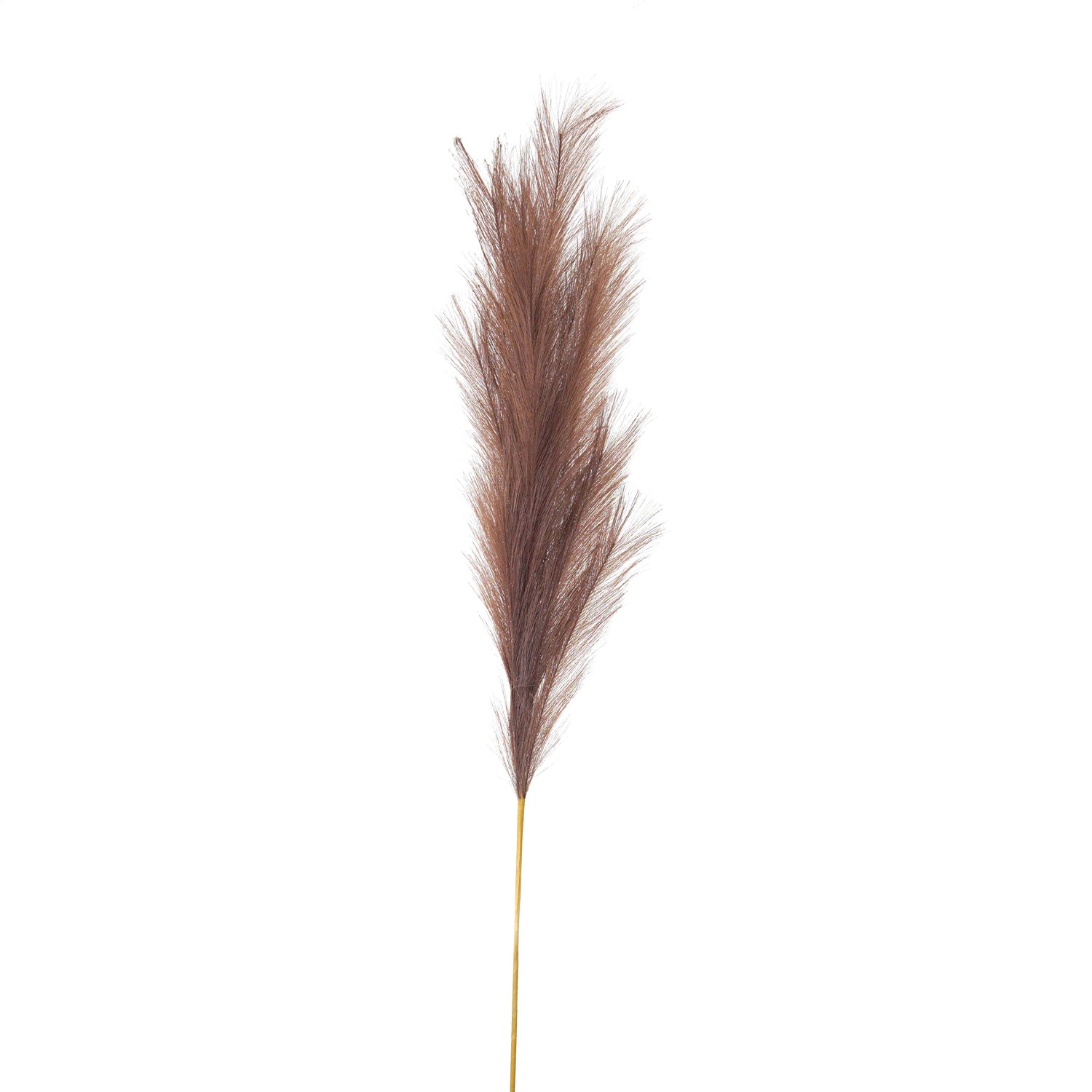 Taupe Large Faux Pampas Grass Stem - Image 1