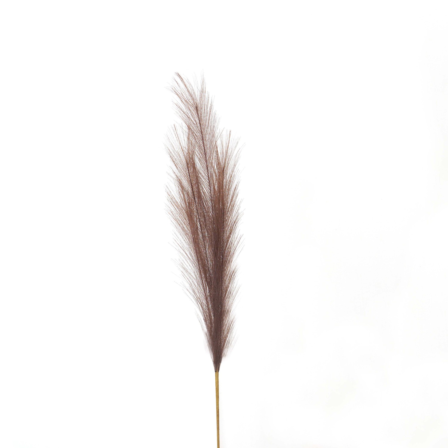 Taupe Faux Pampas Grass Stem - Image 1