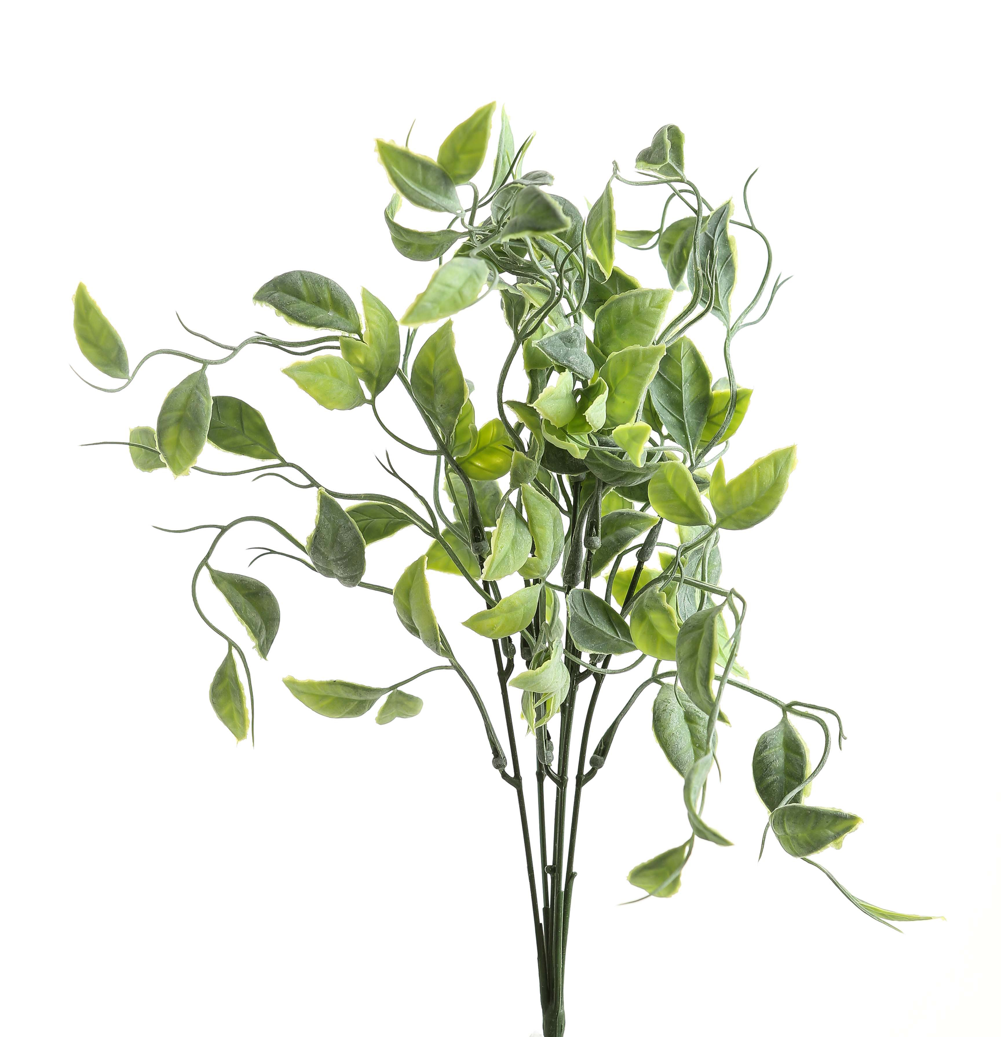 Green Shoots Greenery Bunch - Image 1