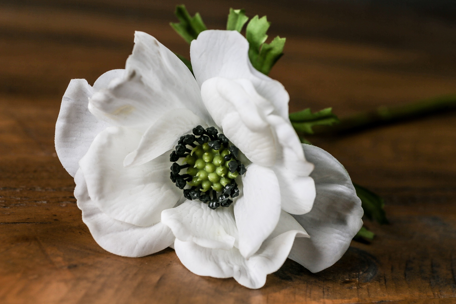 White Anemone Stem - Image 2
