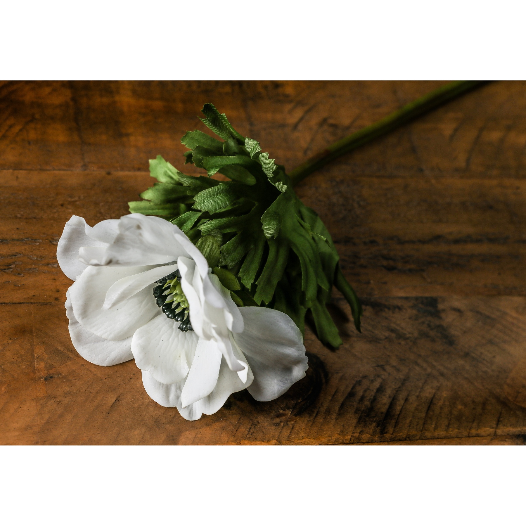 White Anemone Stem - Image 3
