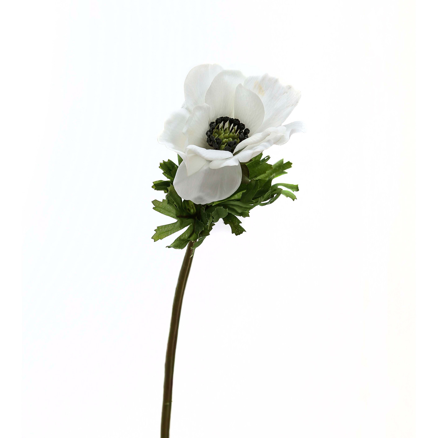 White Anemone Stem - Image 1