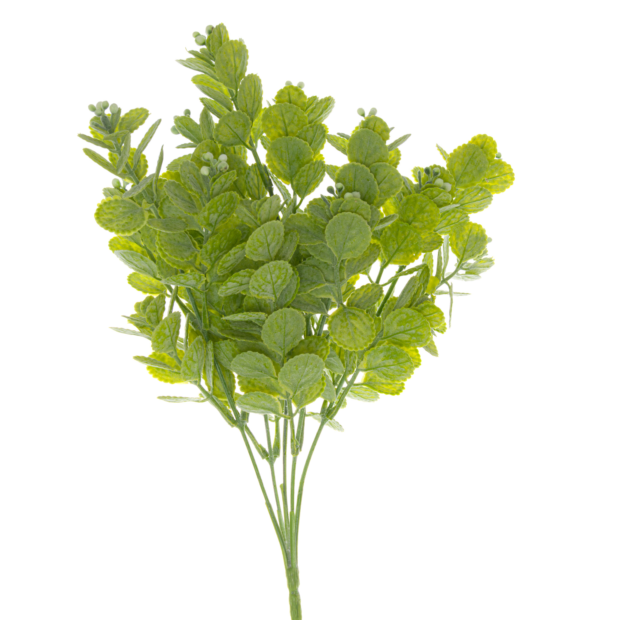 Spring Herb Greenery Bunch - Image 1