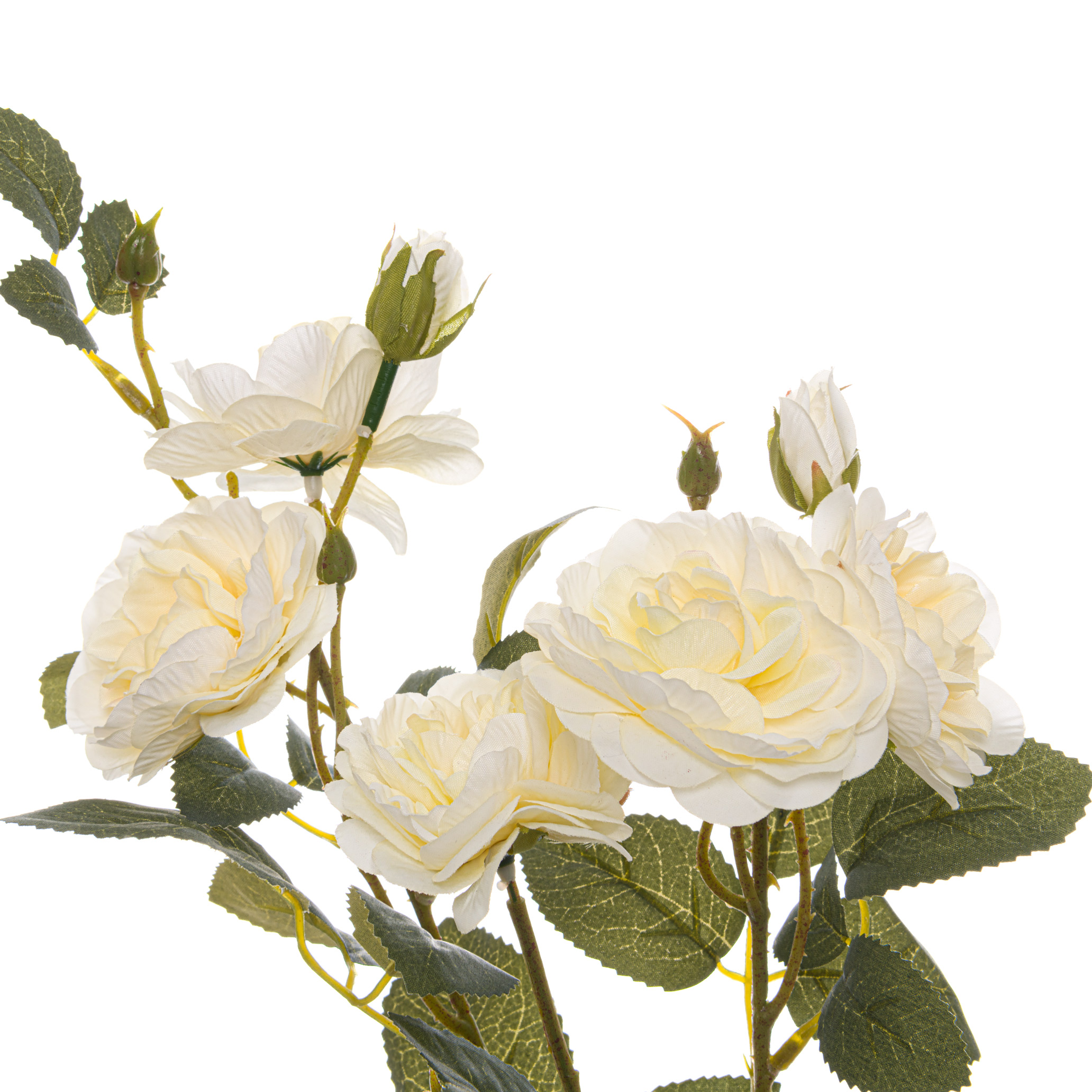 Soft White Cottage Rose Stem - Image 2