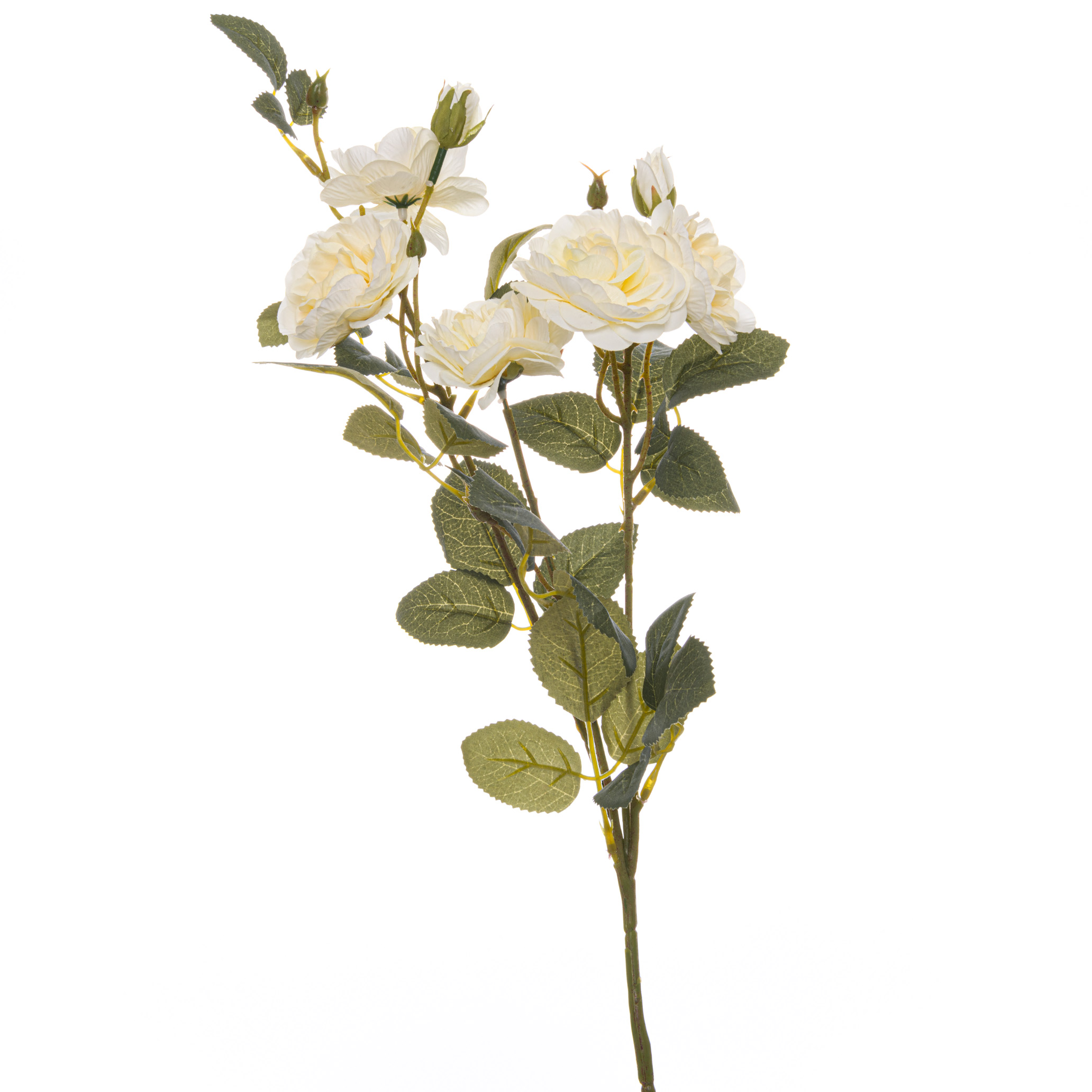 Soft White Cottage Rose Stem - Image 1