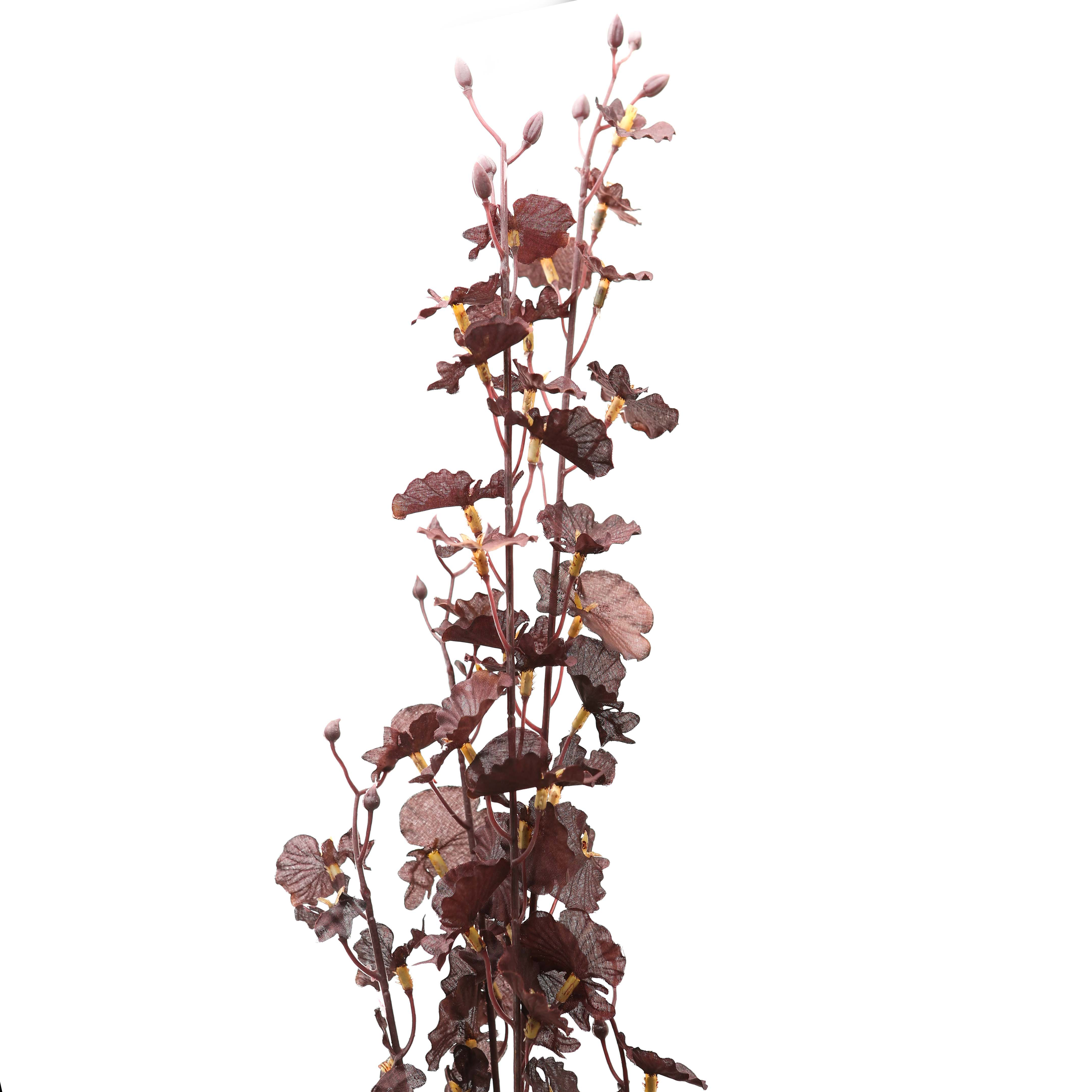 Deep Purple Dancing Orchid Stem - Image 1
