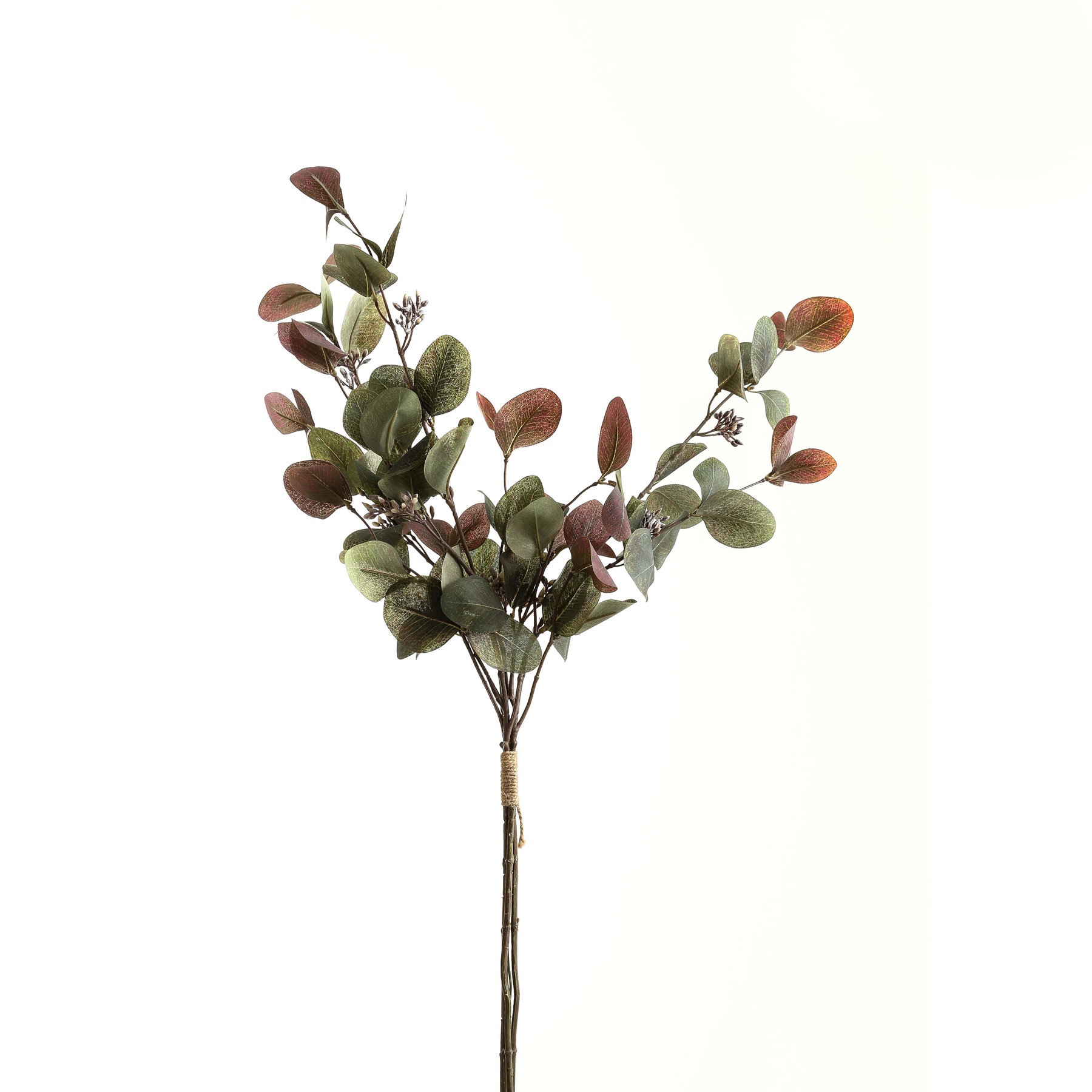 Variegated Eucalyptus Bouquet - Image 2
