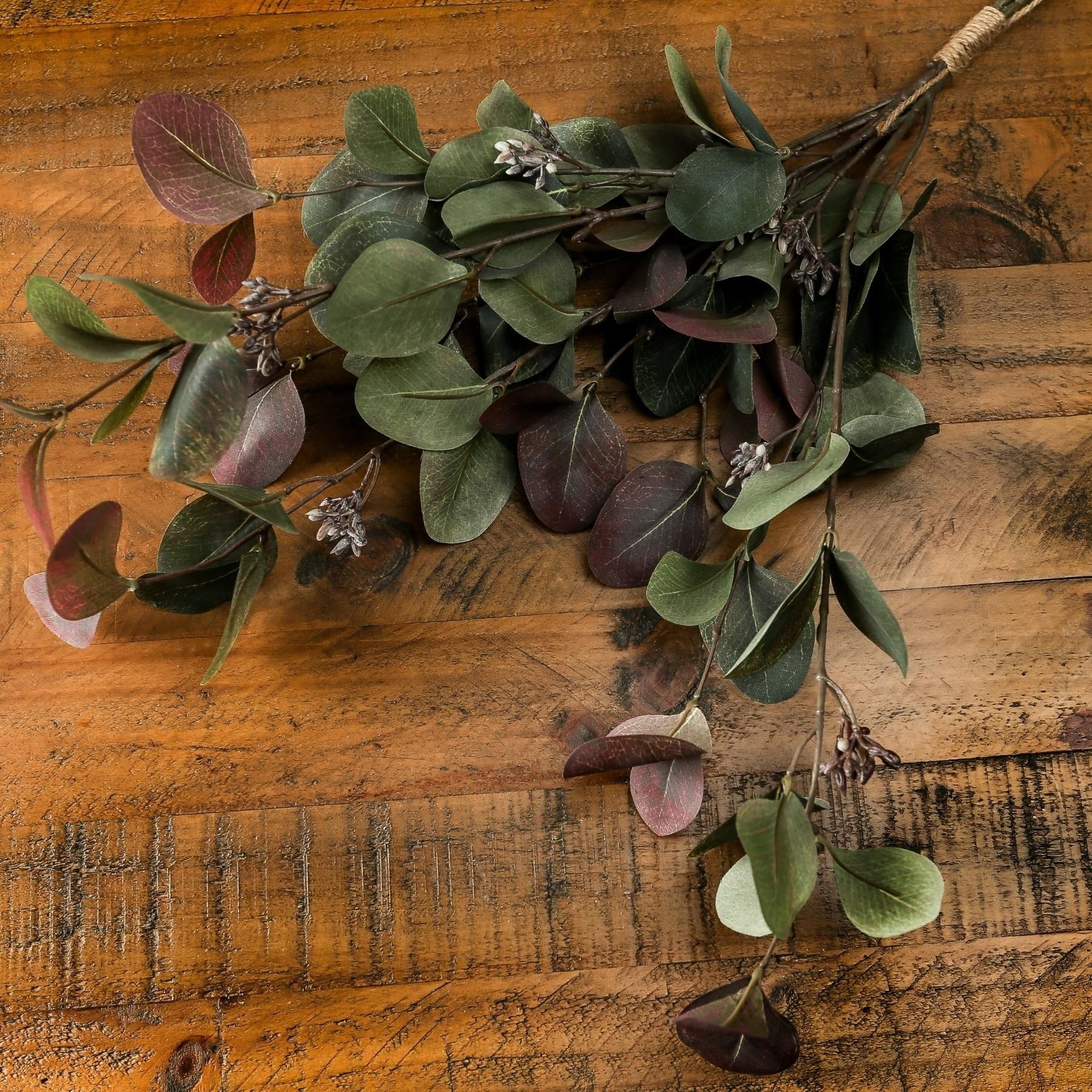 Variegated Eucalyptus Bouquet - Image 1