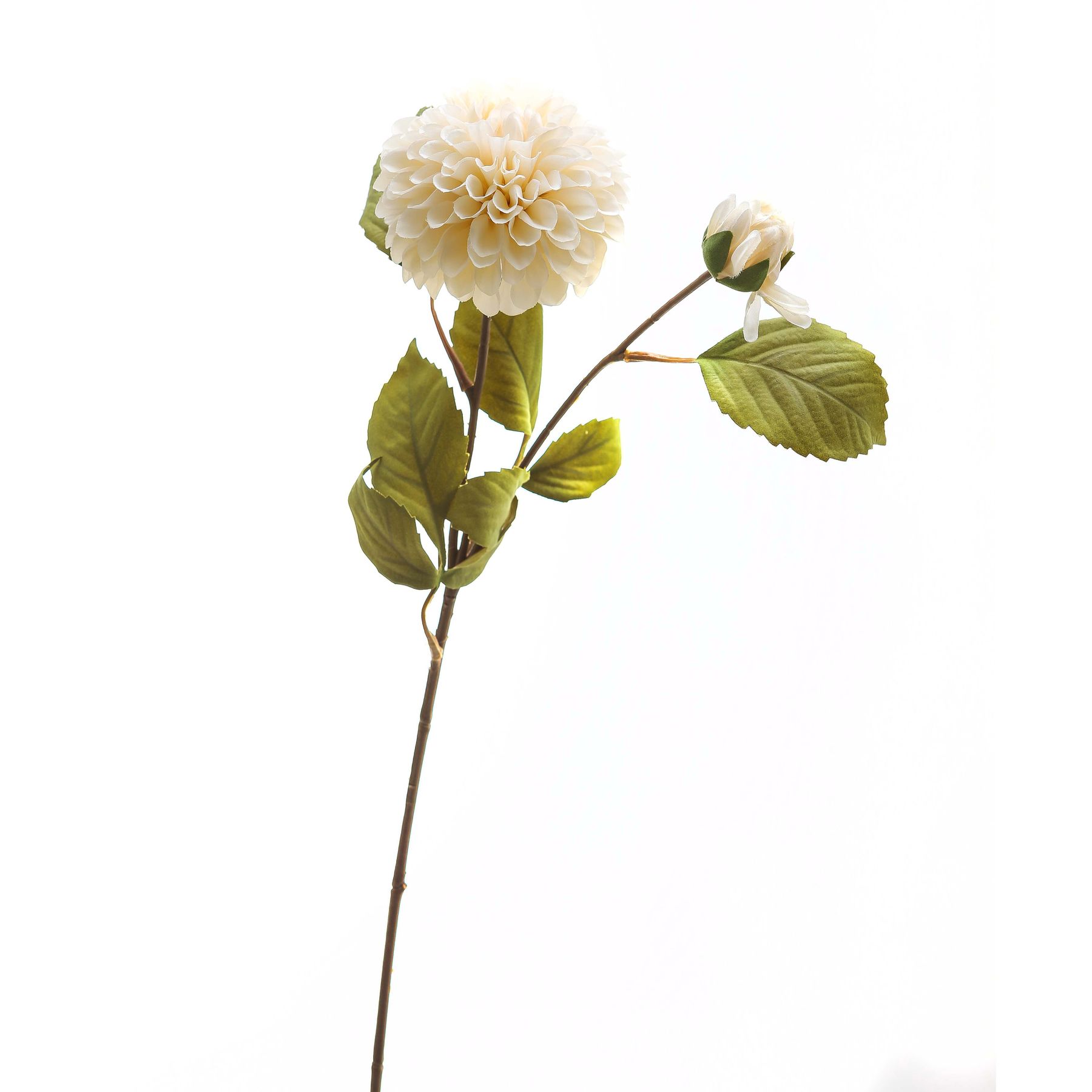 White Dahlia Stem - Image 2