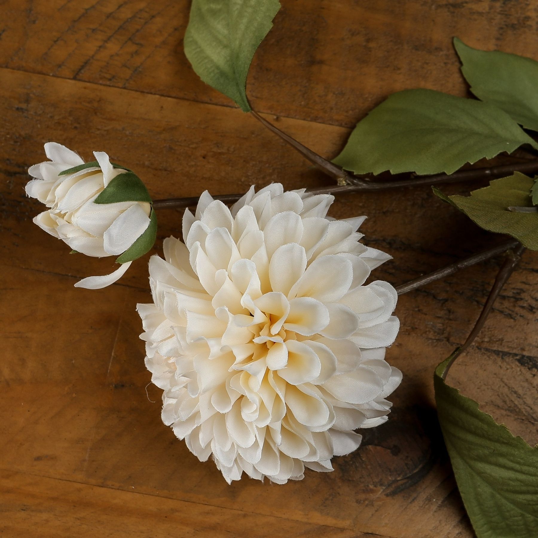 White Dahlia Stem - Image 1