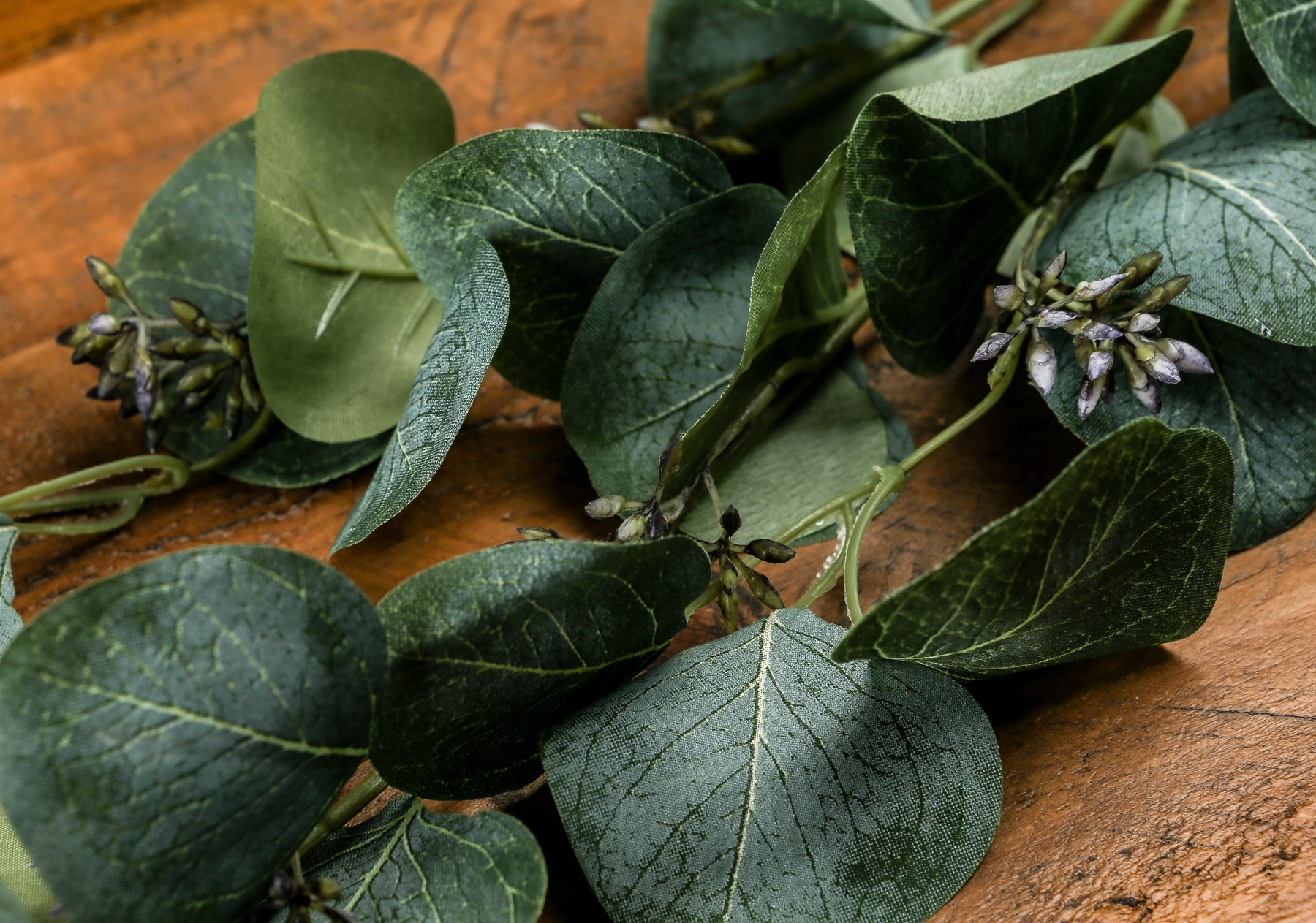 Eucalyptus Stem Spray - Image 4