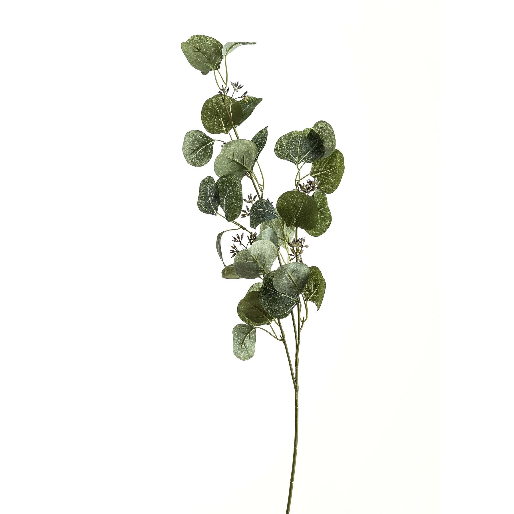 Eucalyptus Stem Spray - Image 1